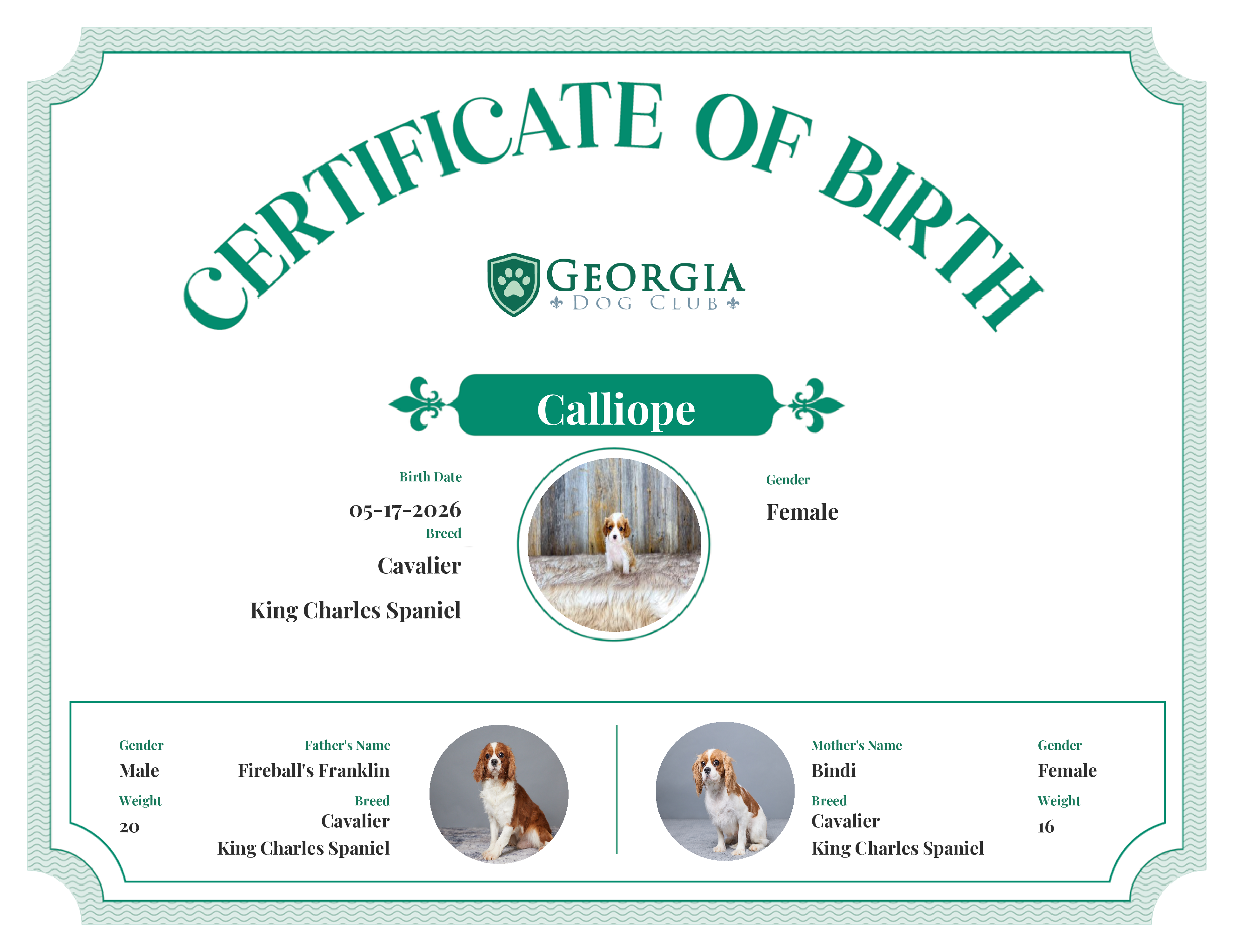 Calliope's Birth Certificate