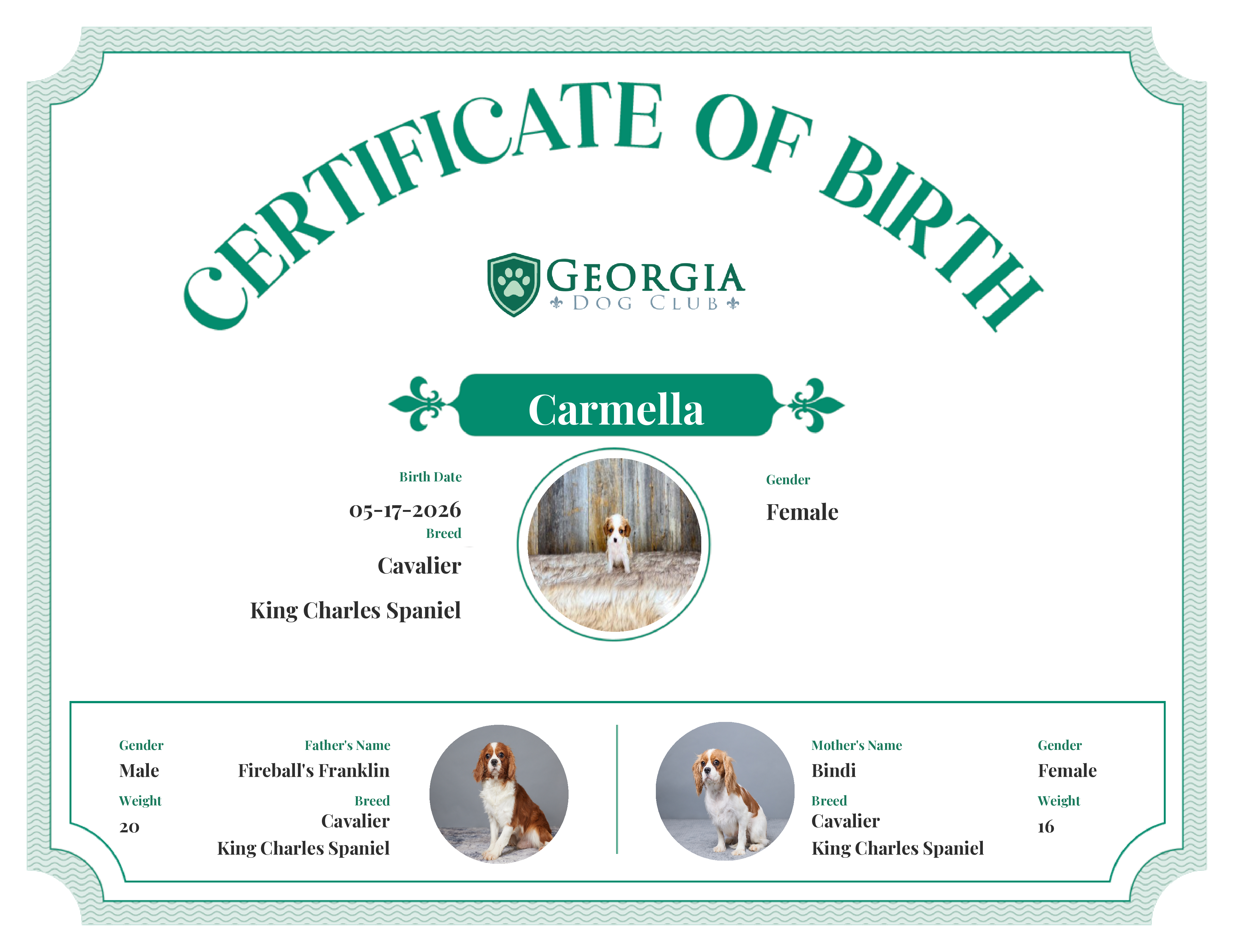 Carmella's Birth Certificate