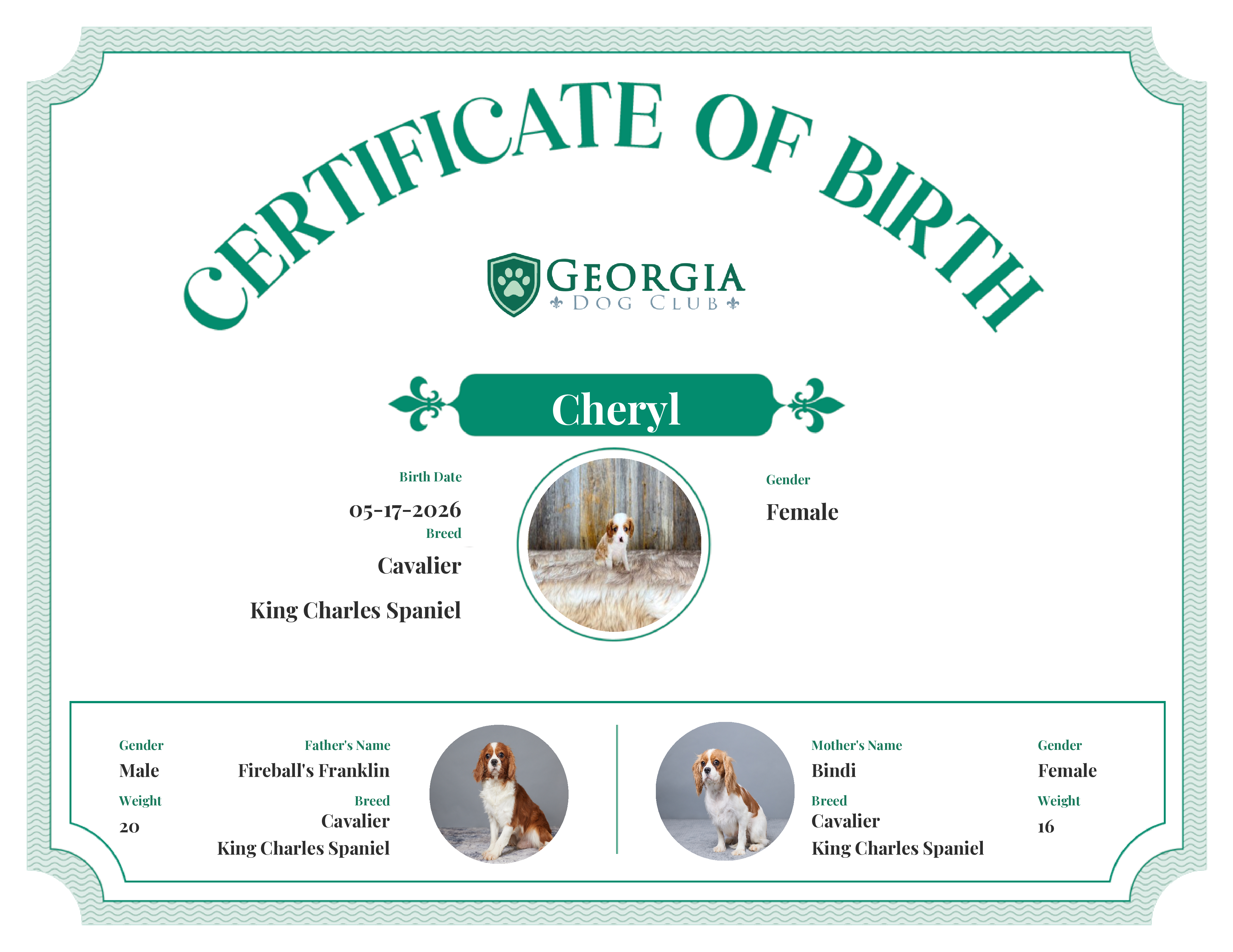 Cheryl's Birth Certificate