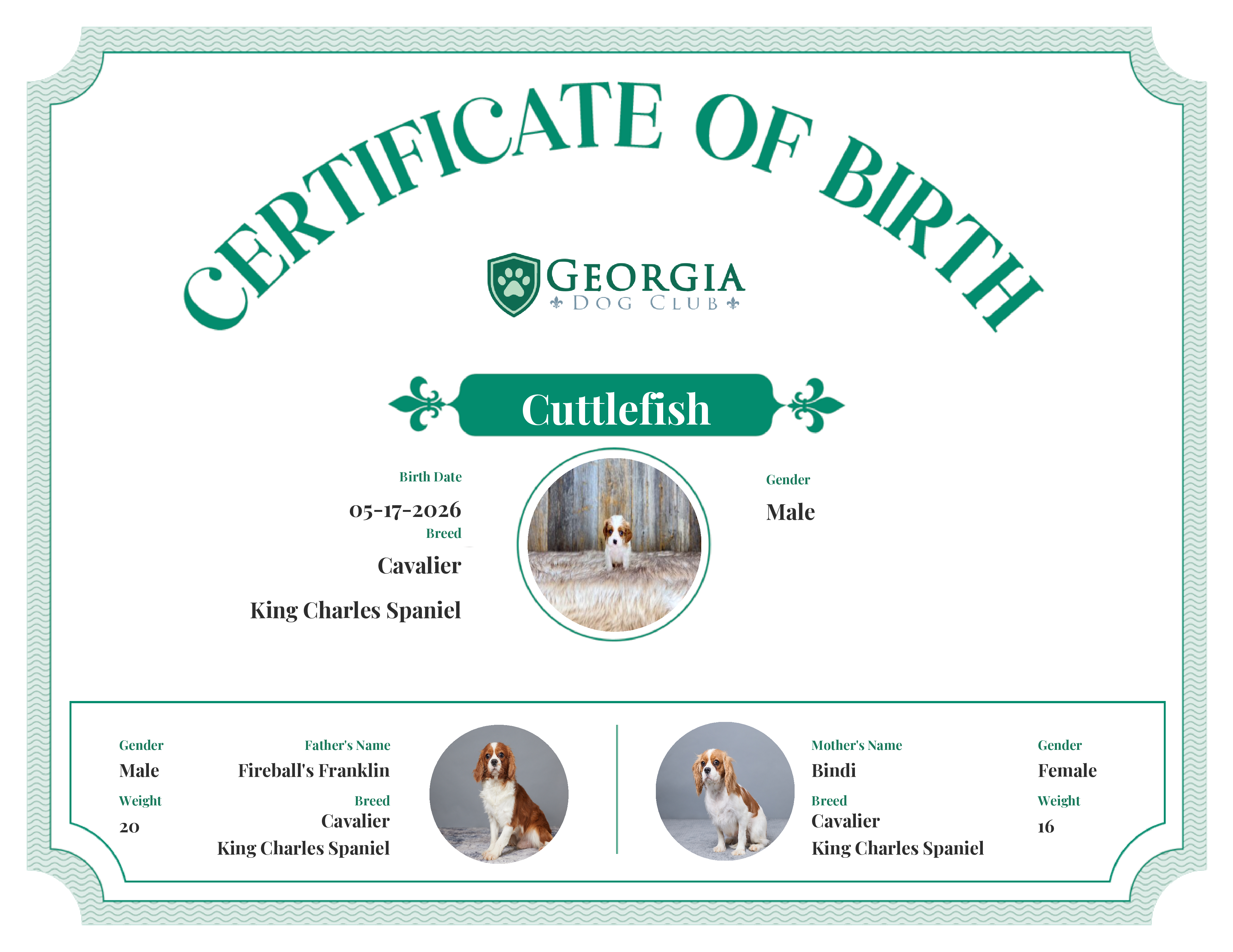 Cuttlefish's Birth Certificate