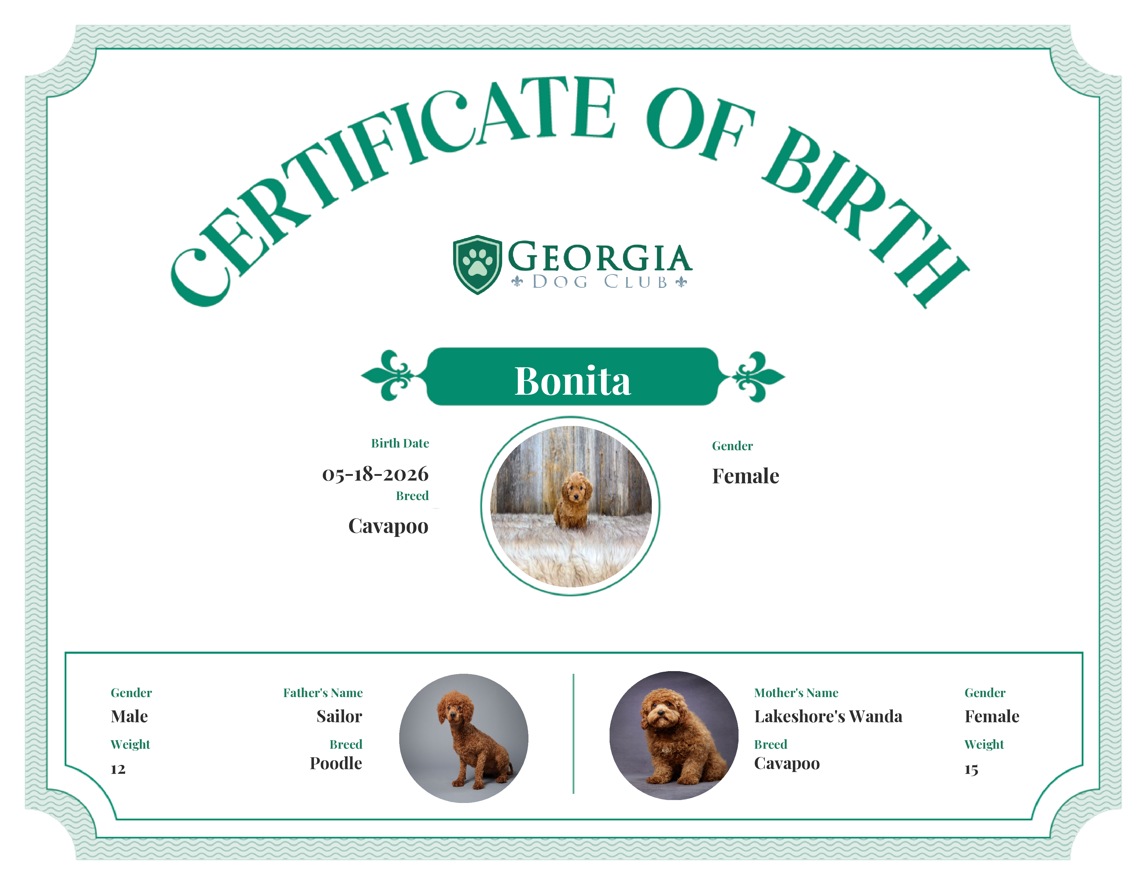 Bonita's Birth Certificate
