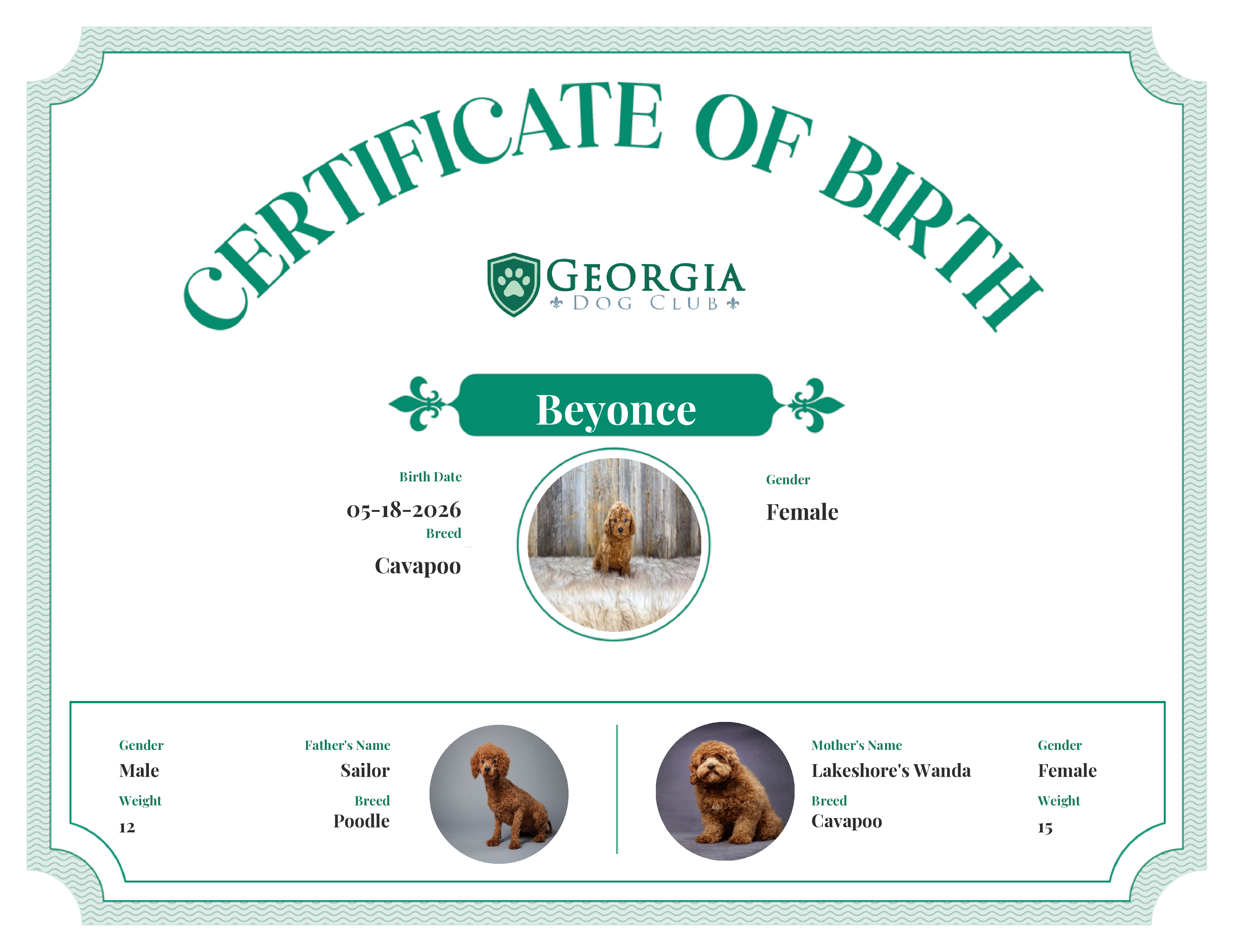 Beyonce's Birth Certificate
