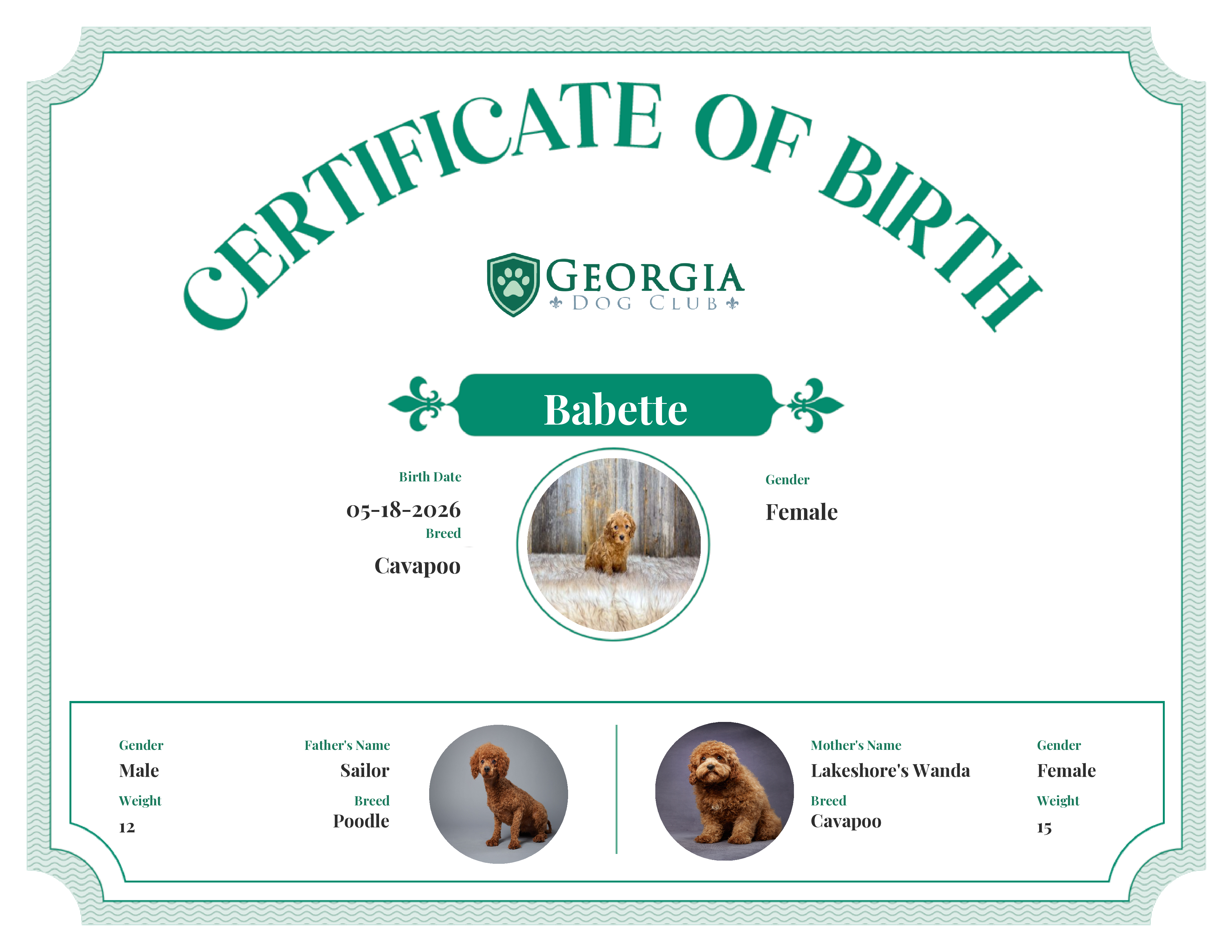 Babette's Birth Certificate