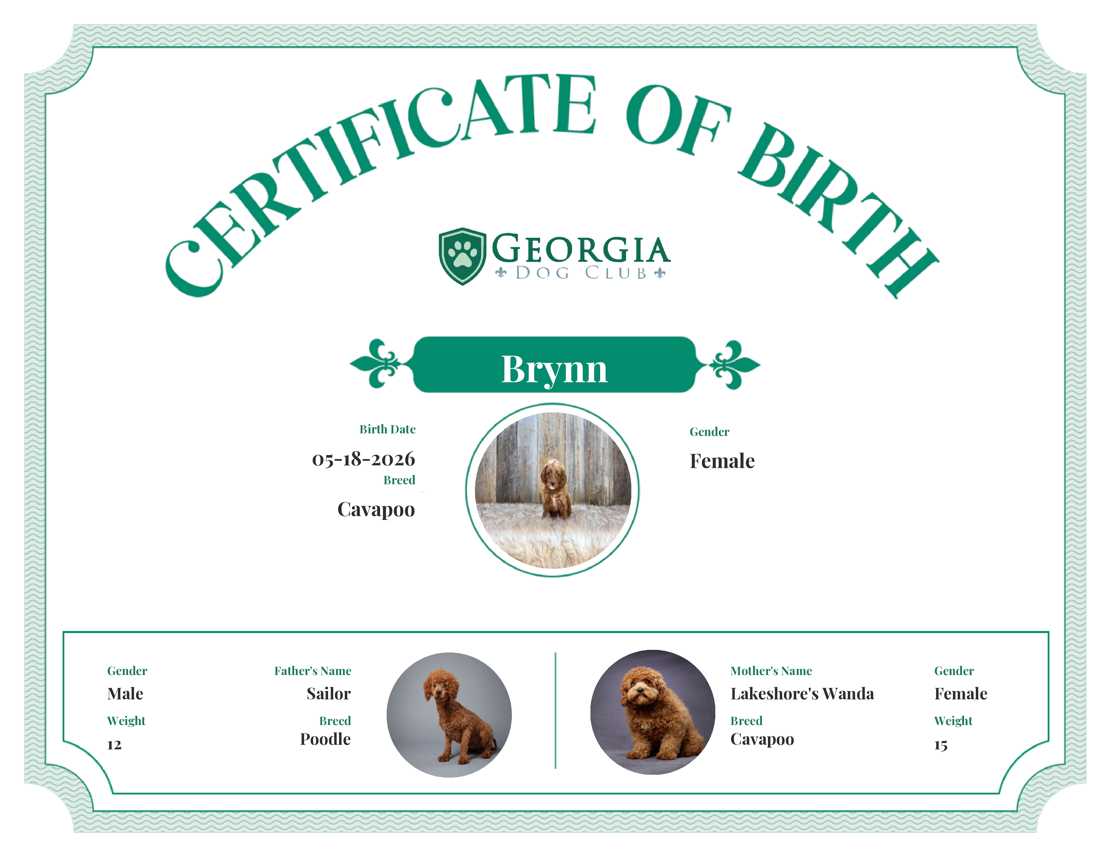 Brynn's Birth Certificate