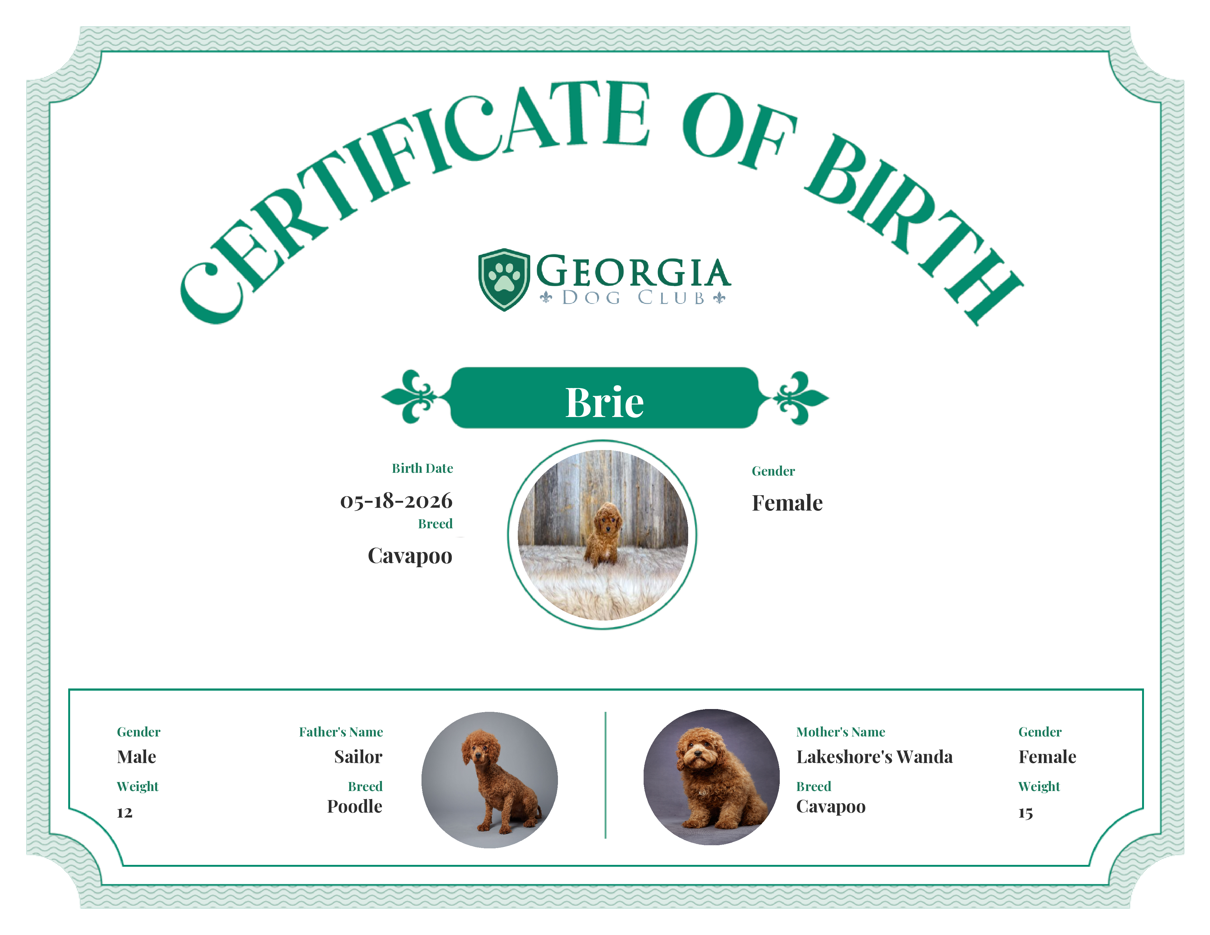 Brie's Birth Certificate