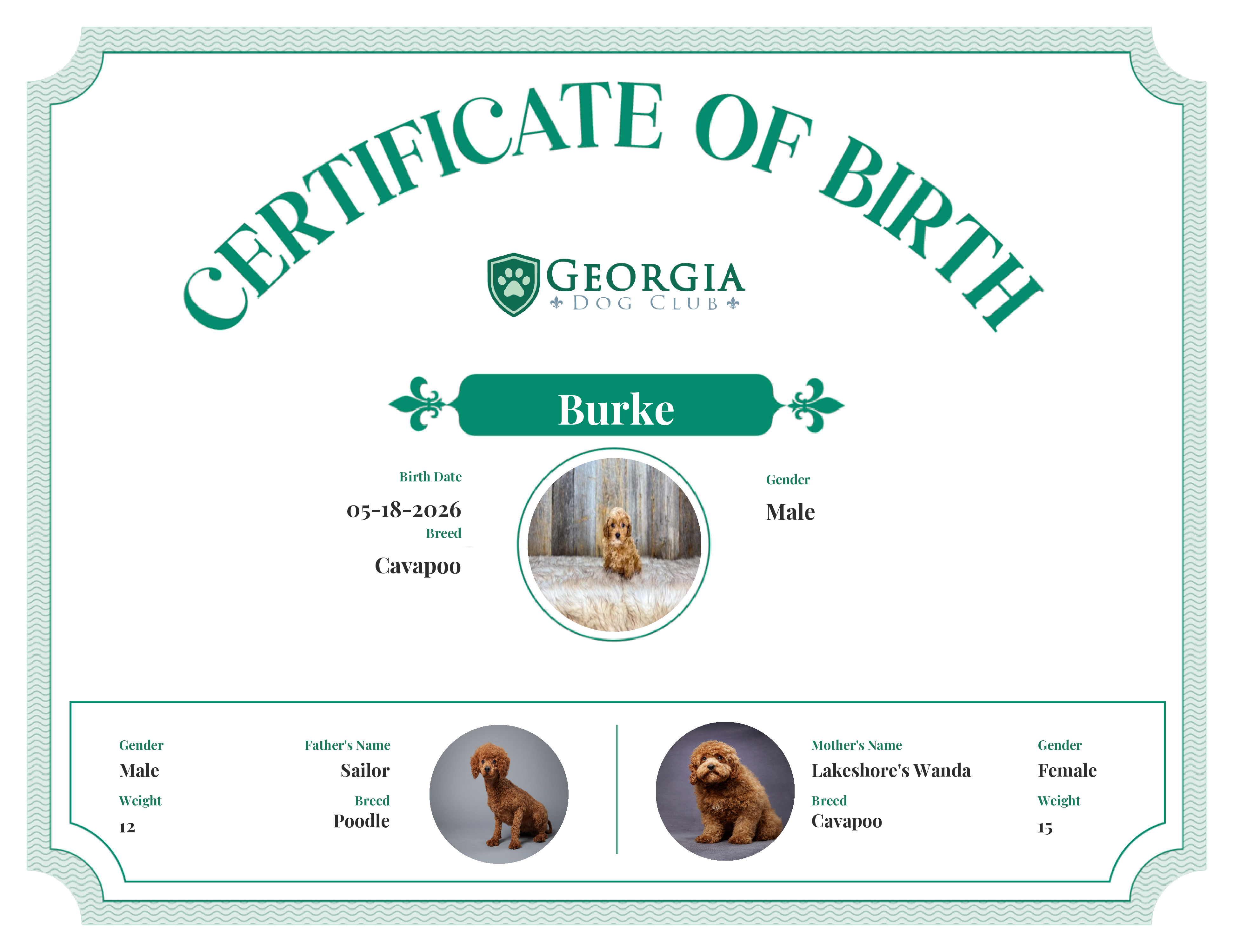 Burke's Birth Certificate