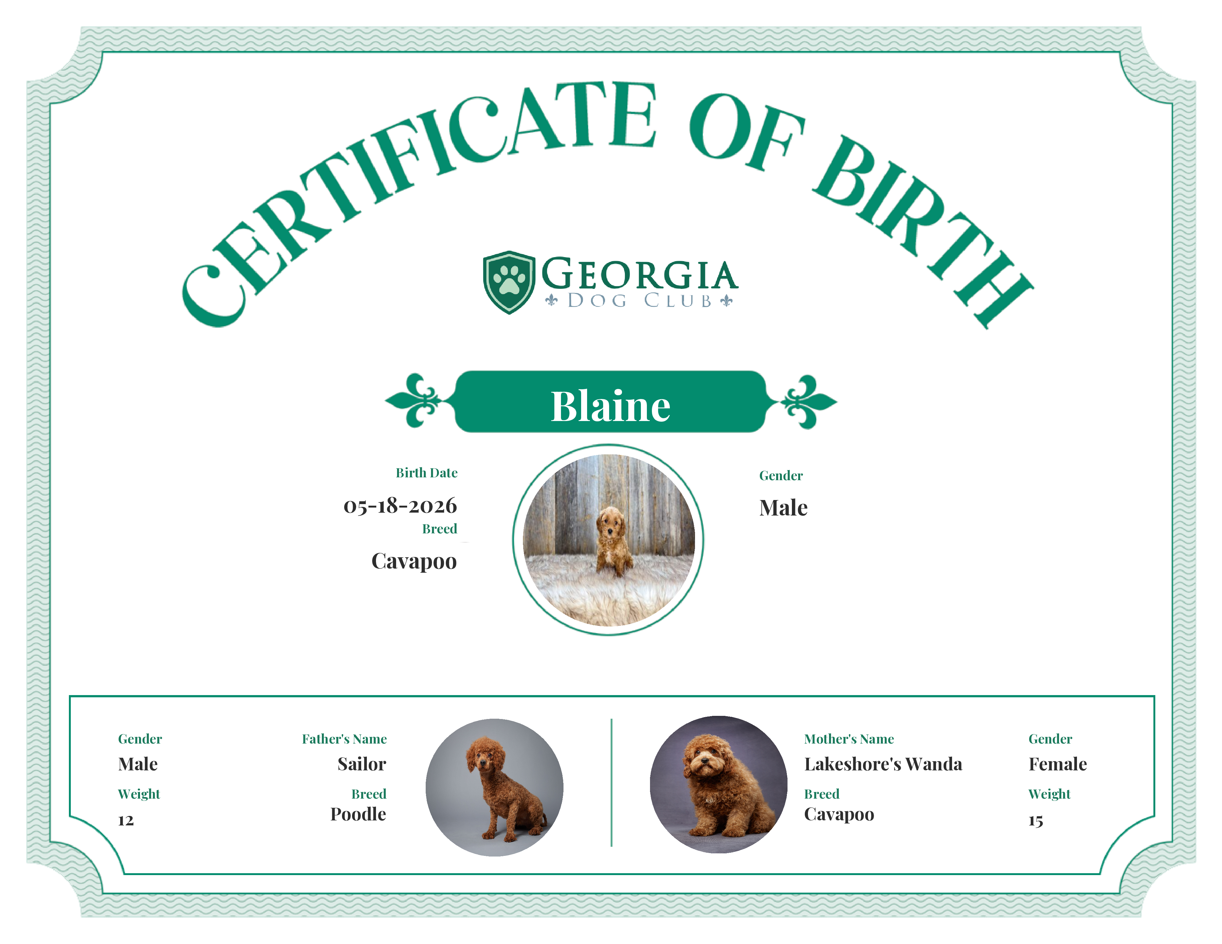 Blaine's Birth Certificate