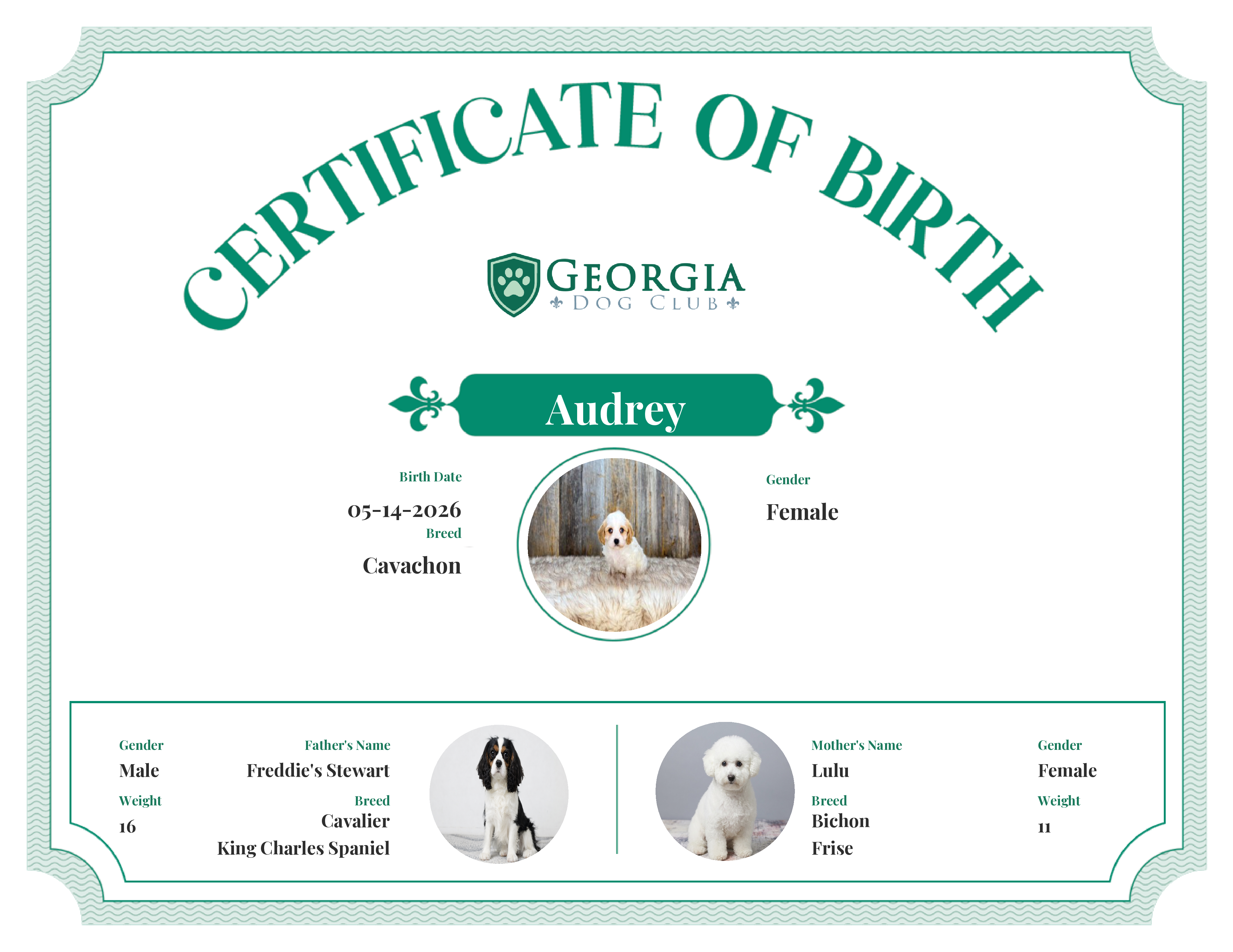 Audrey's Birth Certificate
