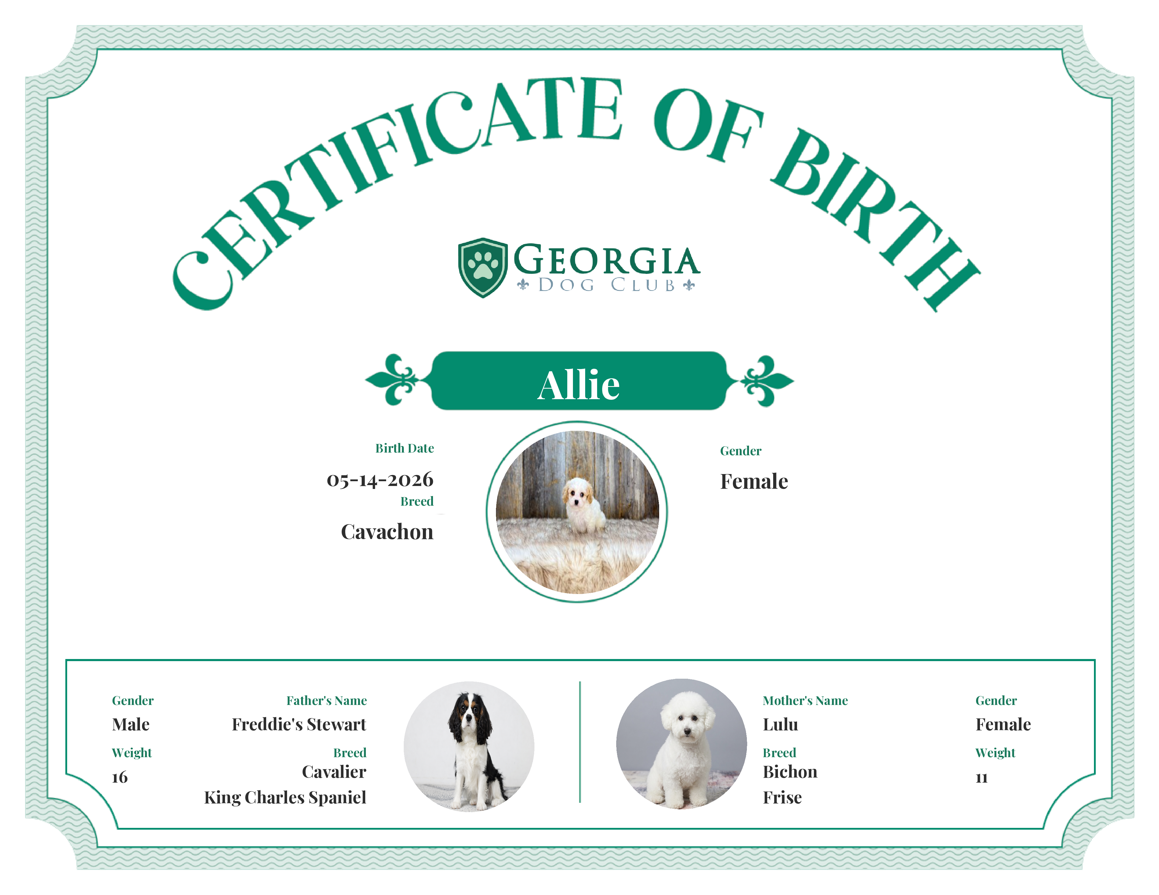 Allie's Birth Certificate