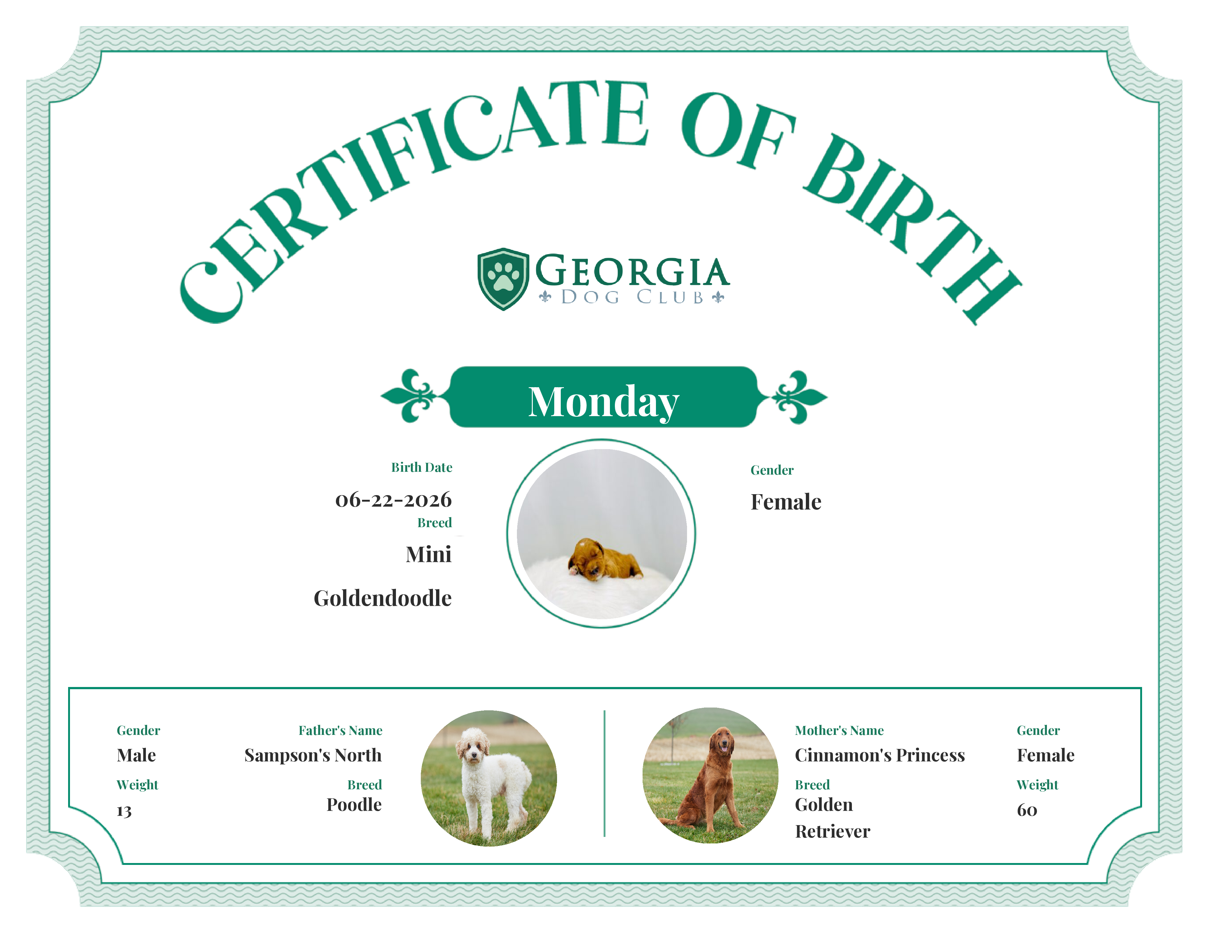 Monday's Birth Certificate
