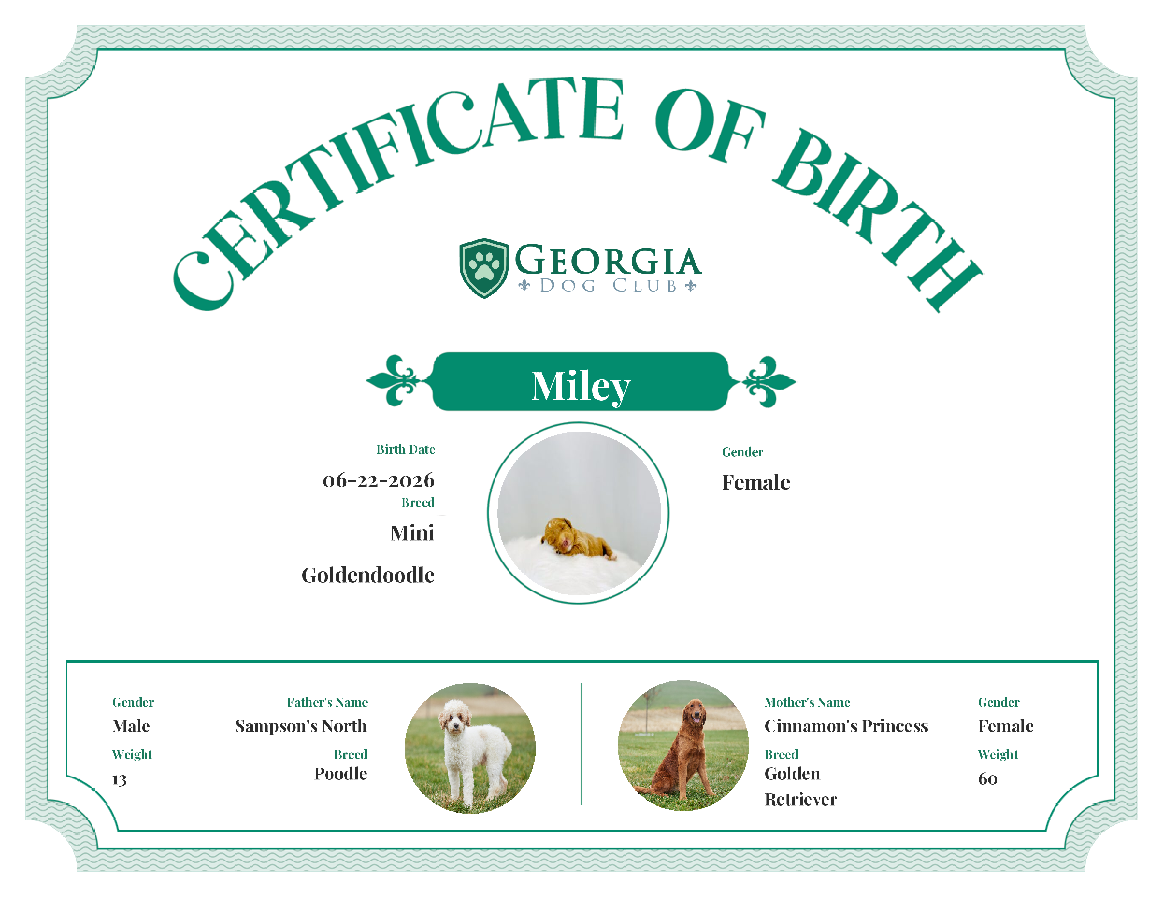 Miley's Birth Certificate