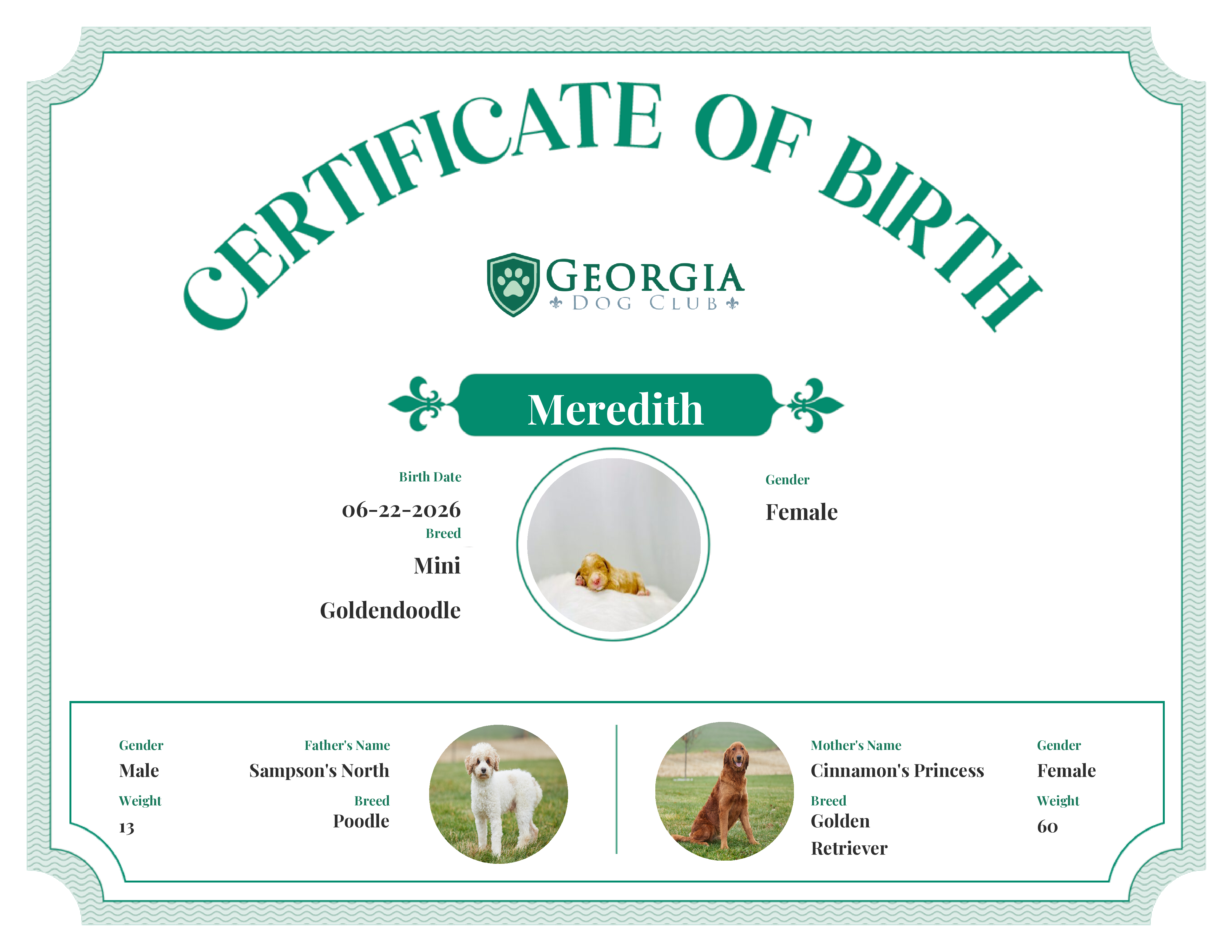 Meredith's Birth Certificate