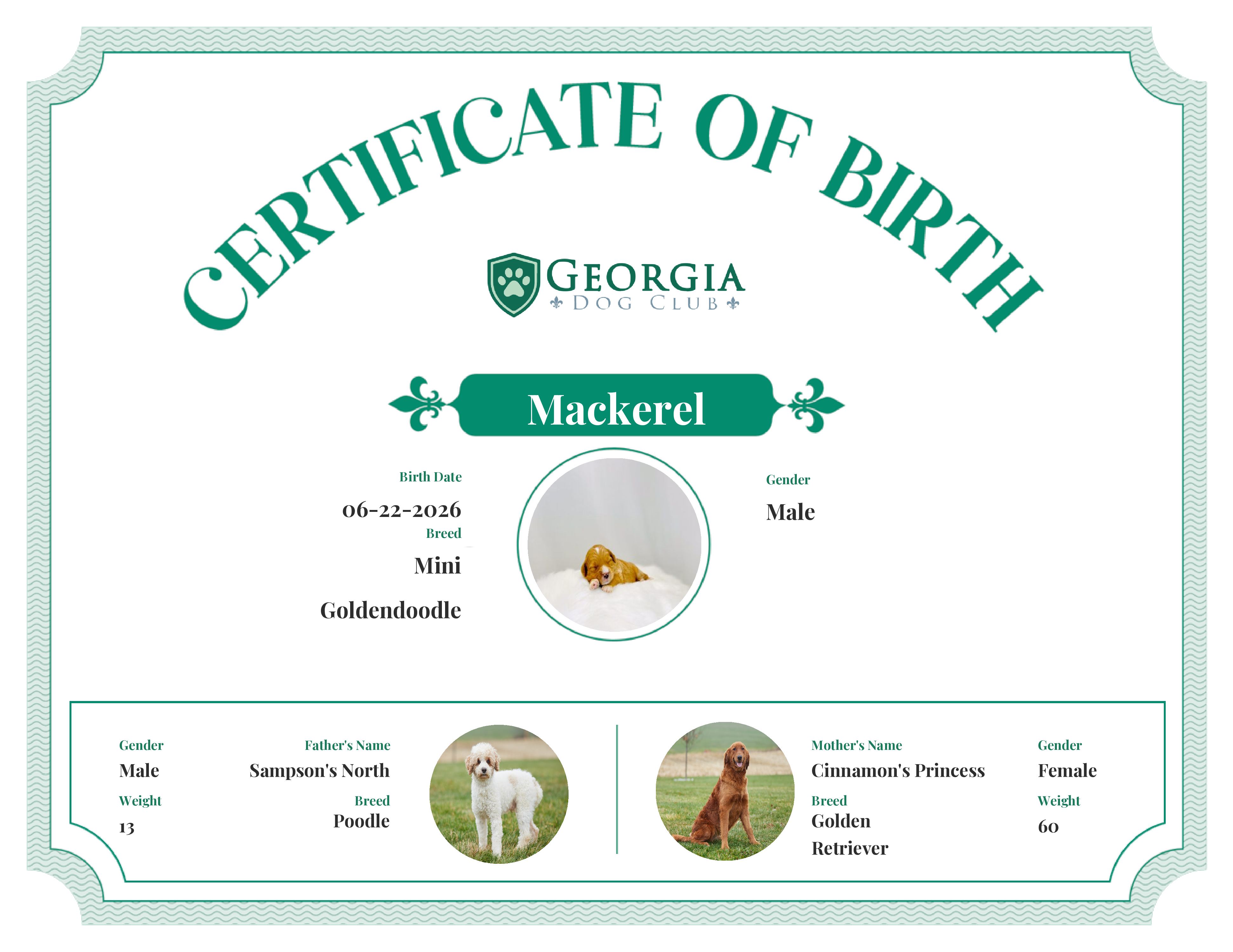 Mackerel's Birth Certificate