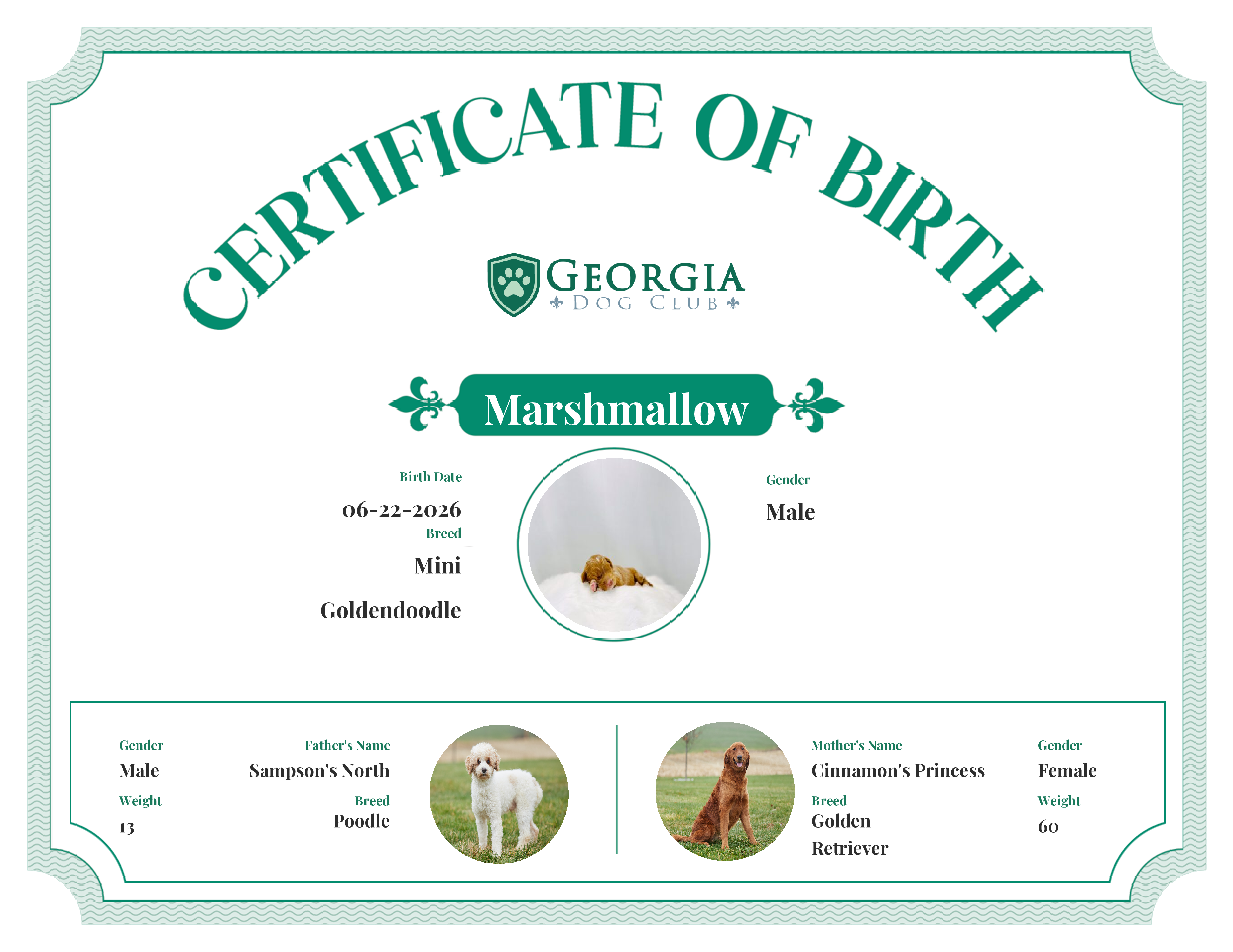 Marshmallow's Birth Certificate