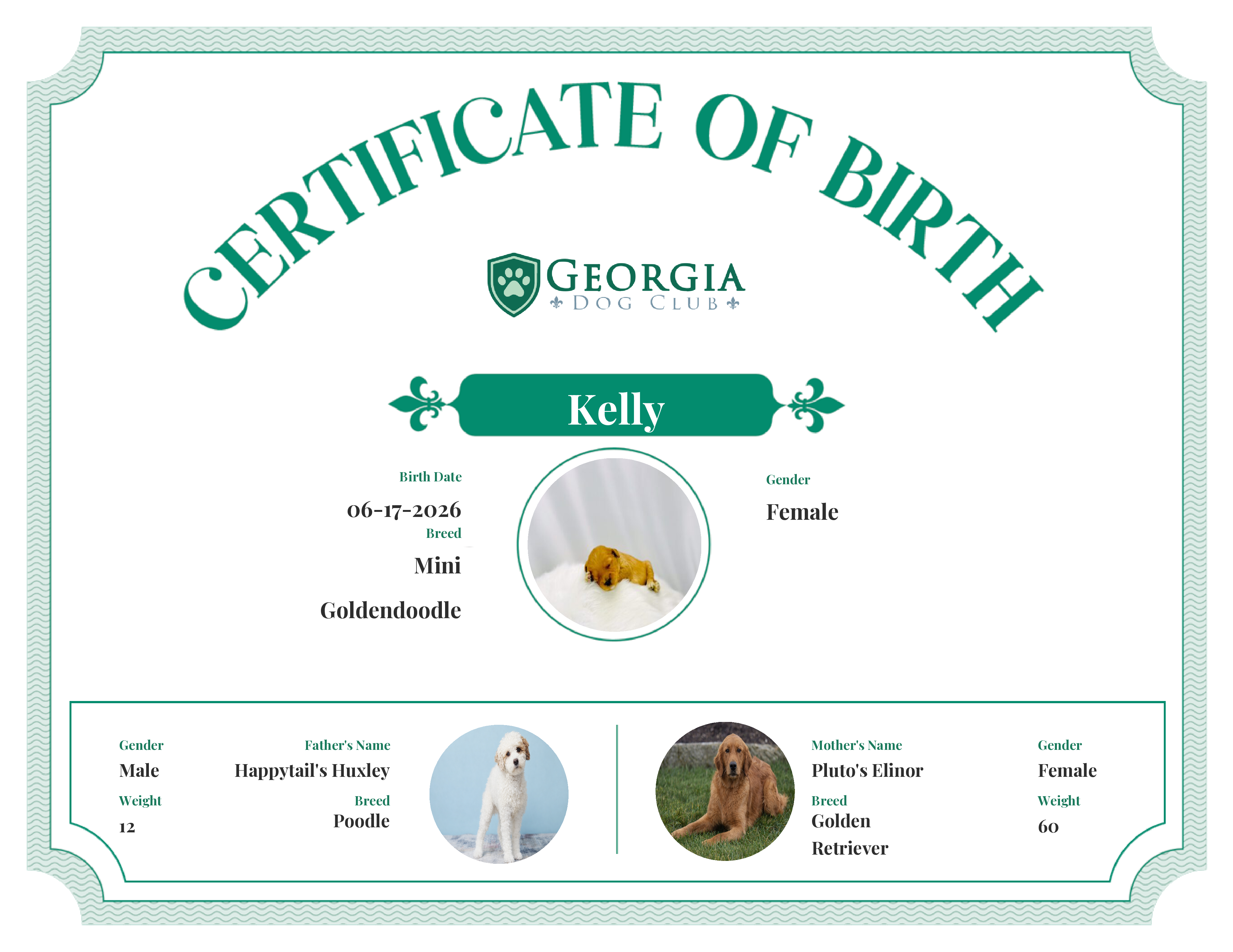 Kelly's Birth Certificate