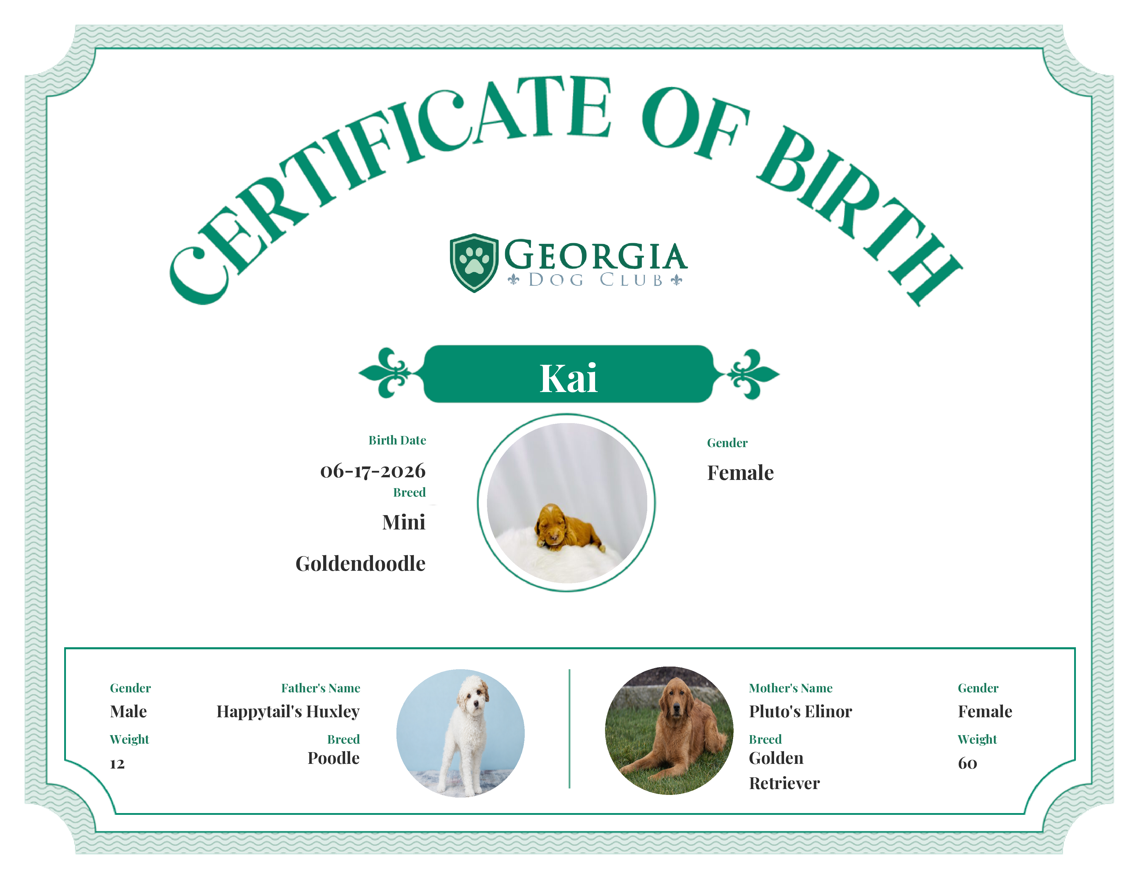Kai's Birth Certificate