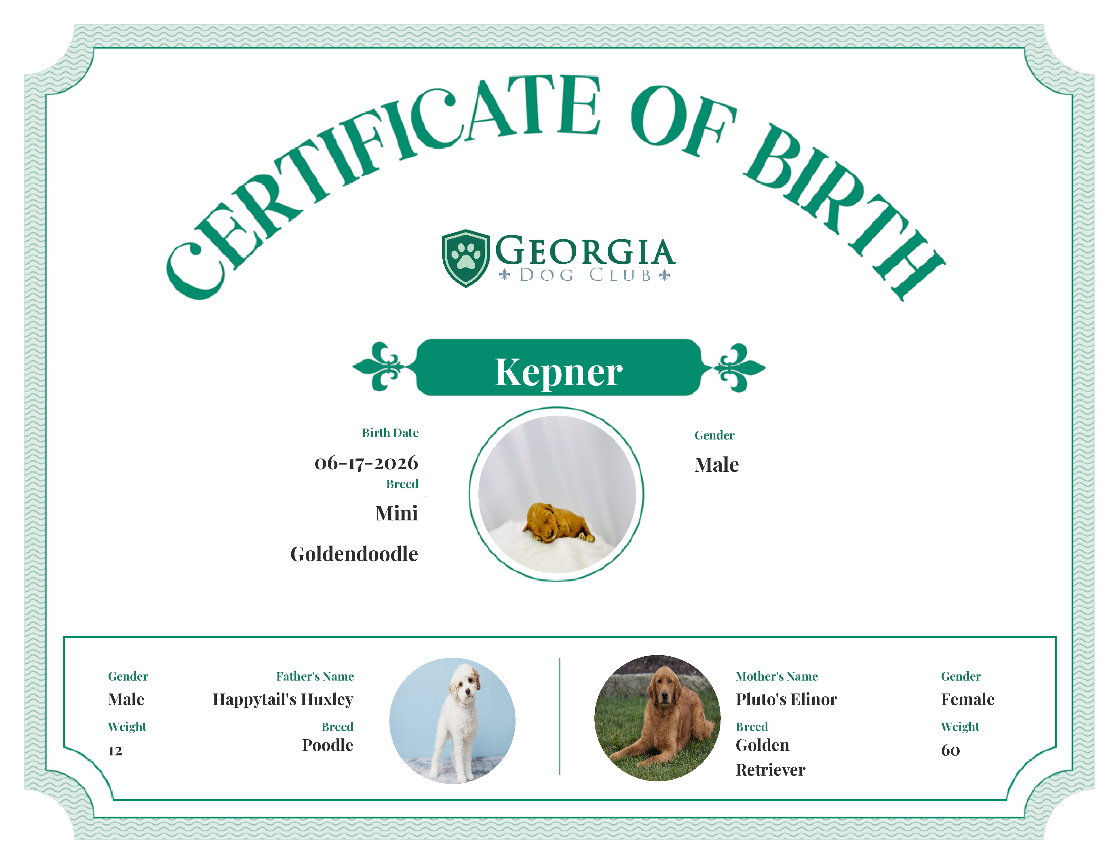 Kepner's Birth Certificate
