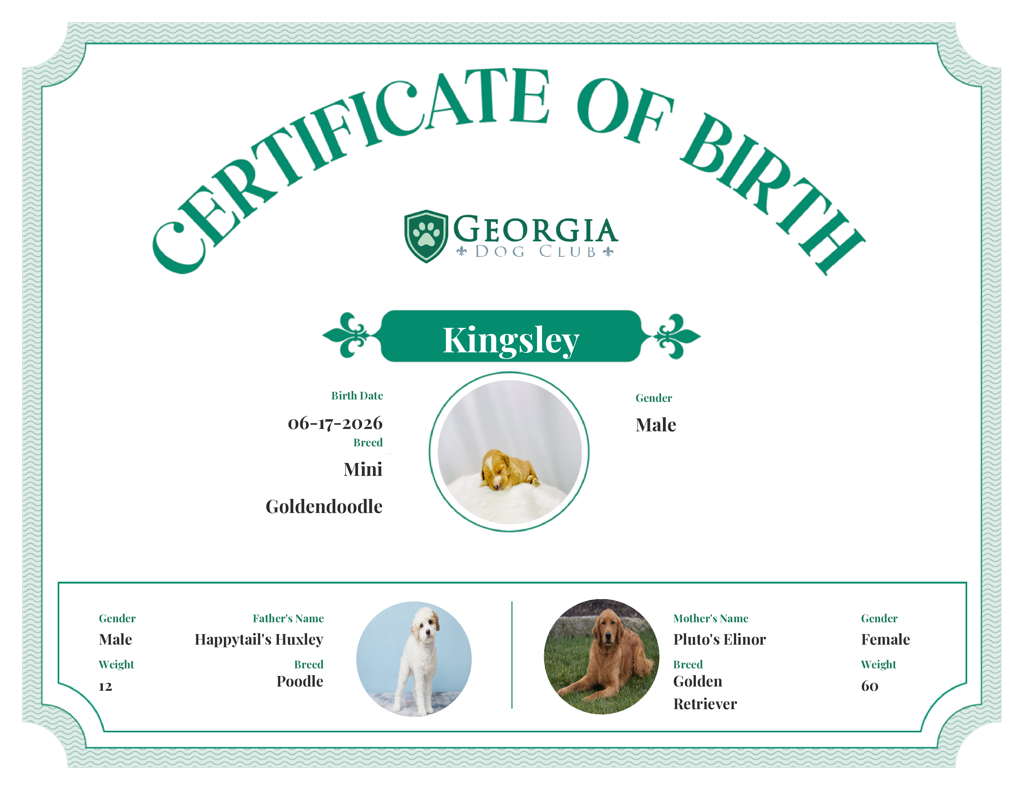 Kingsley's Birth Certificate
