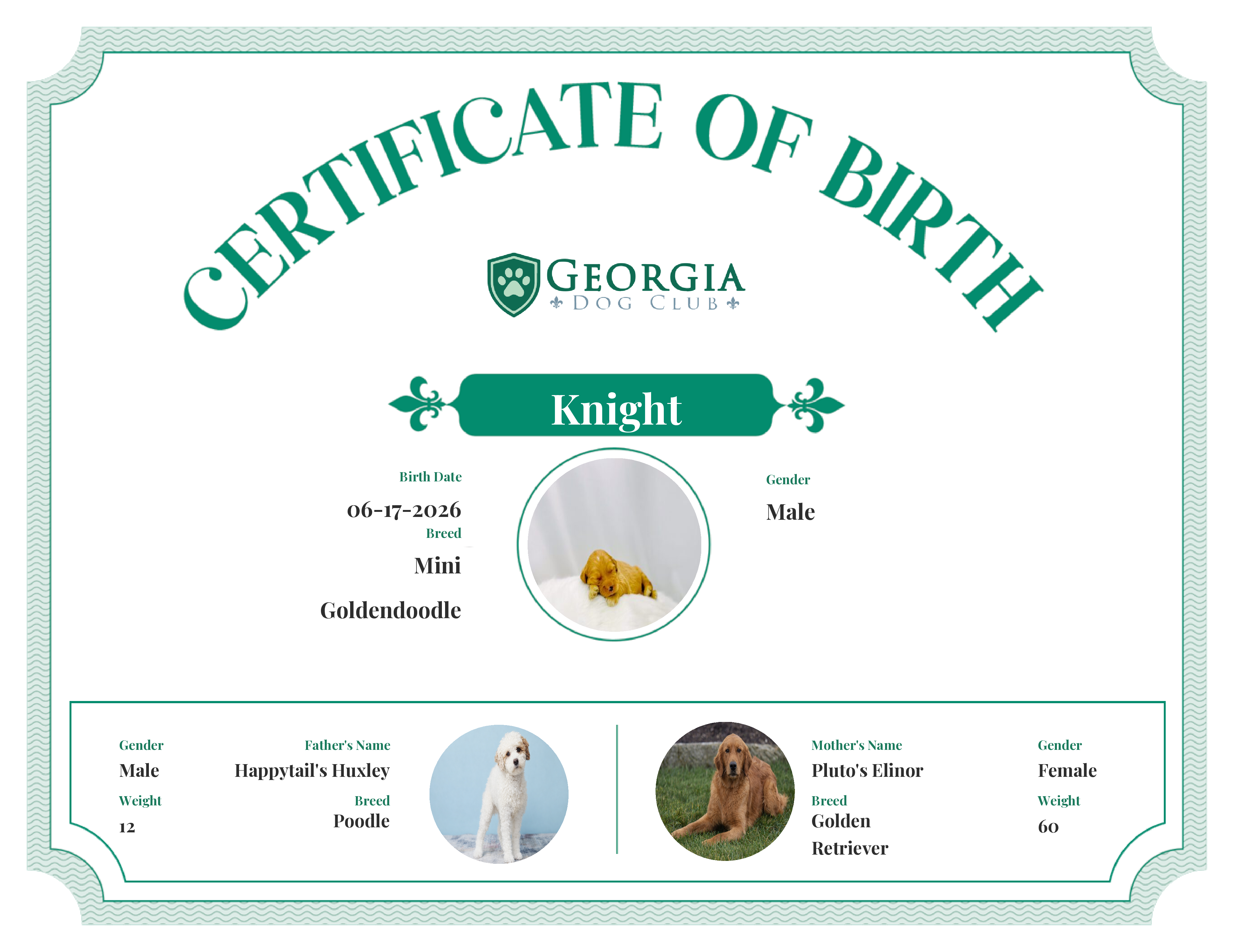 Knight's Birth Certificate