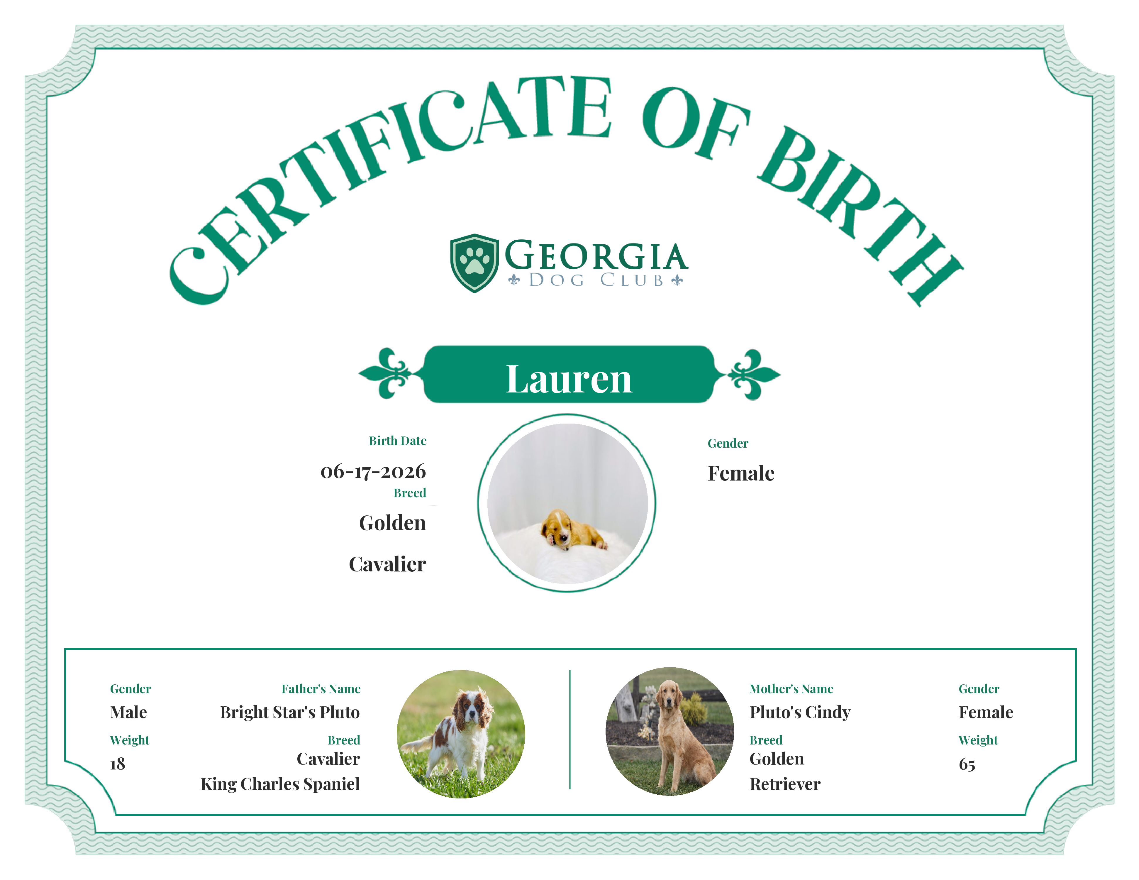 Lauren's Birth Certificate