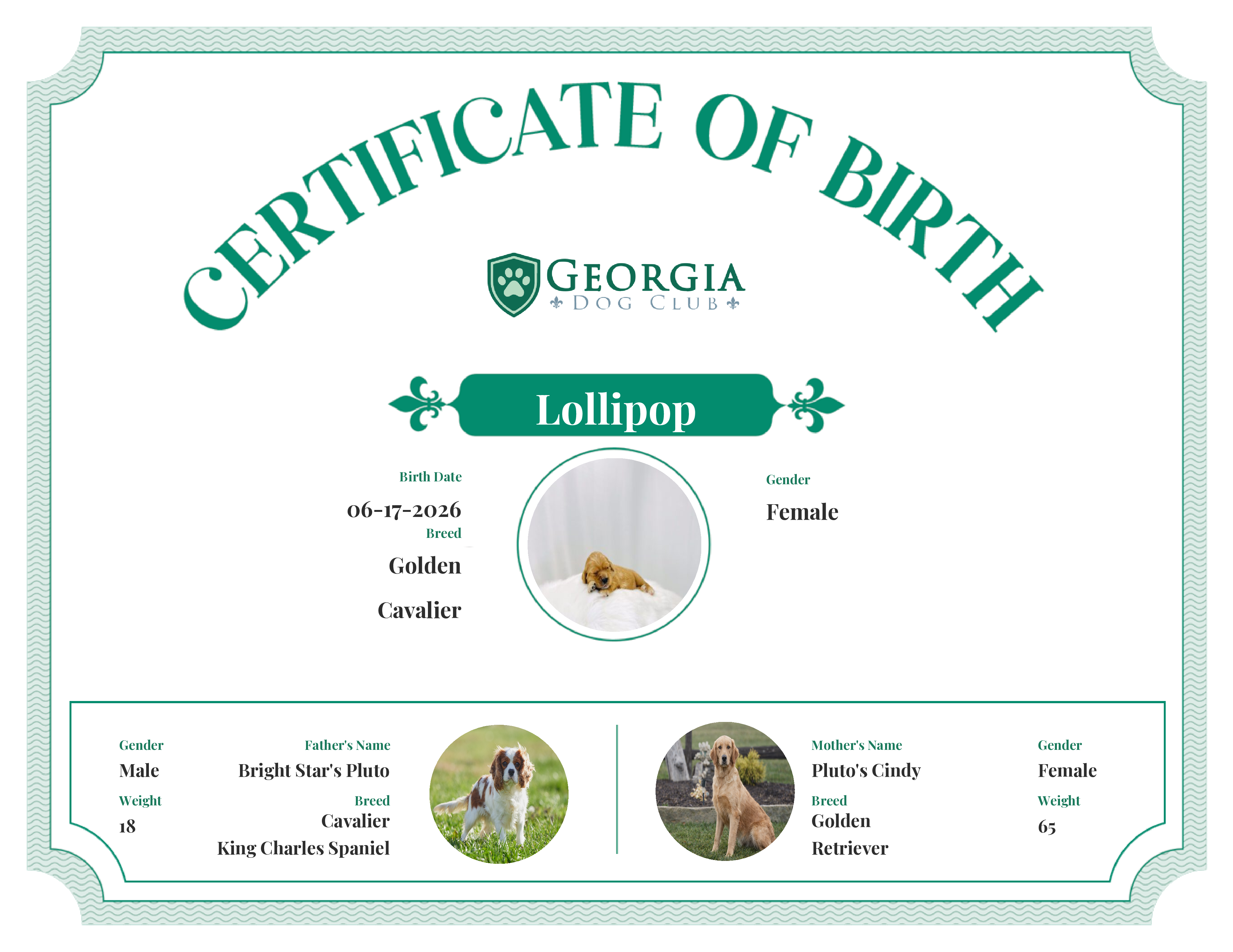 Lollipop's Birth Certificate