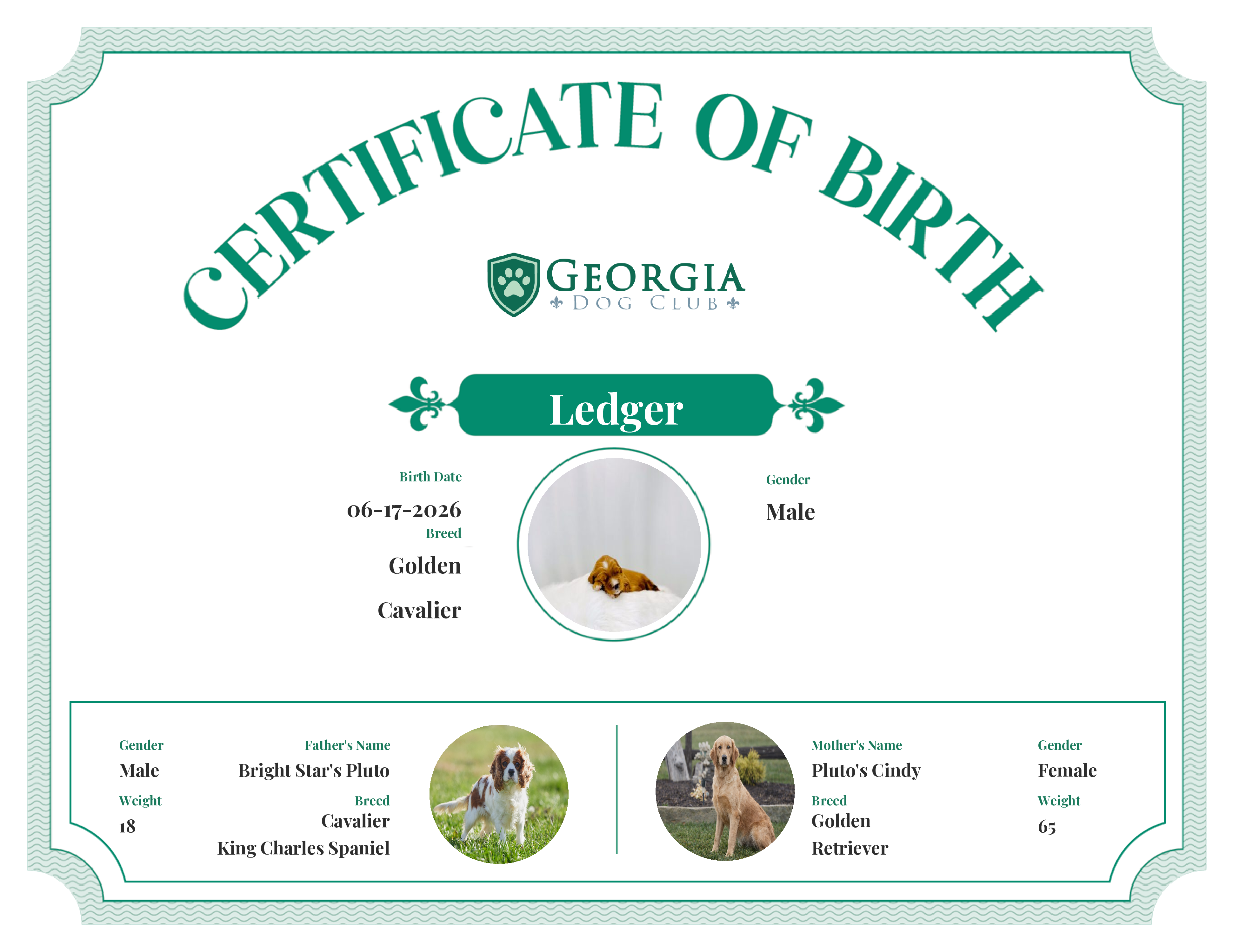 Ledger's Birth Certificate