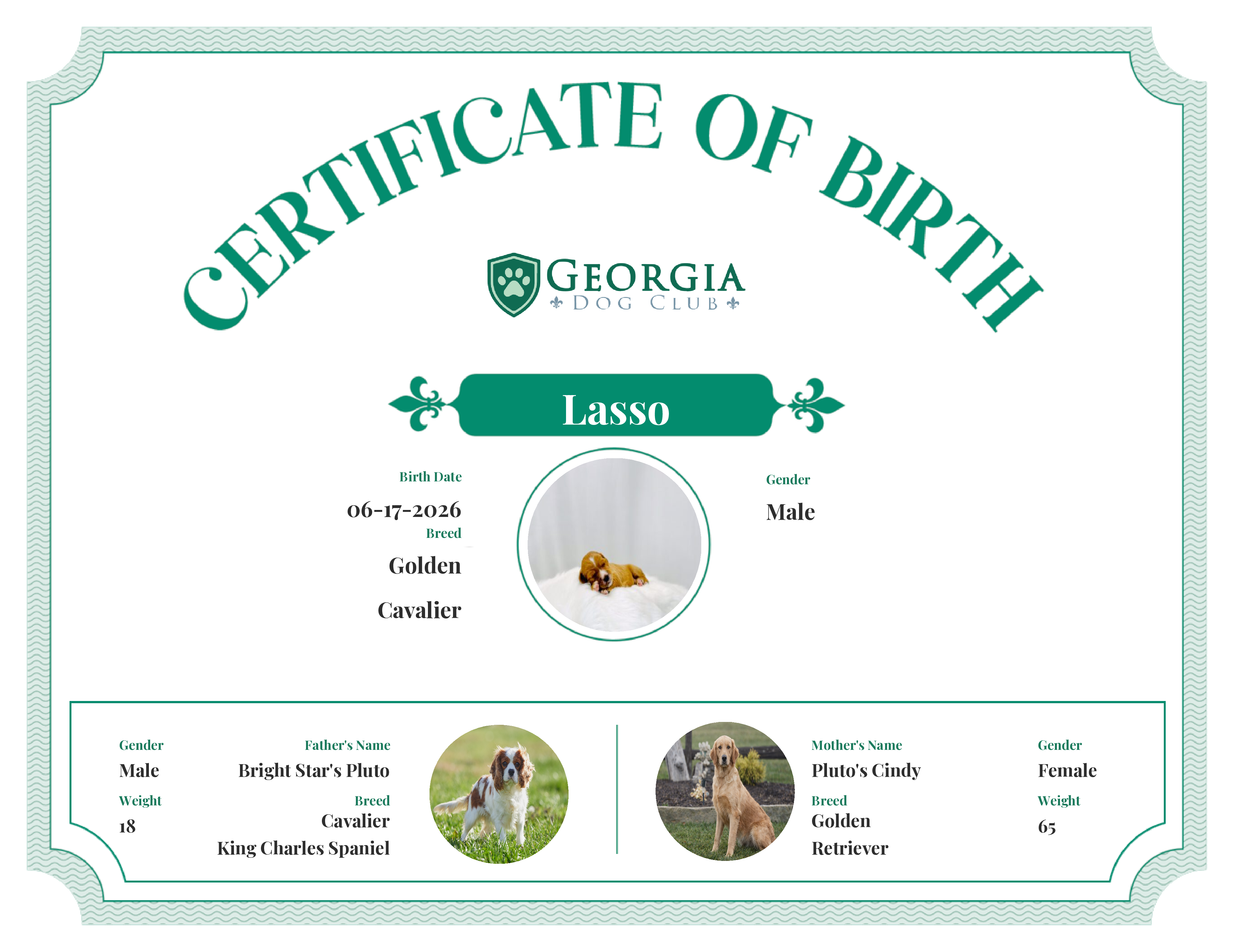 Lasso's Birth Certificate