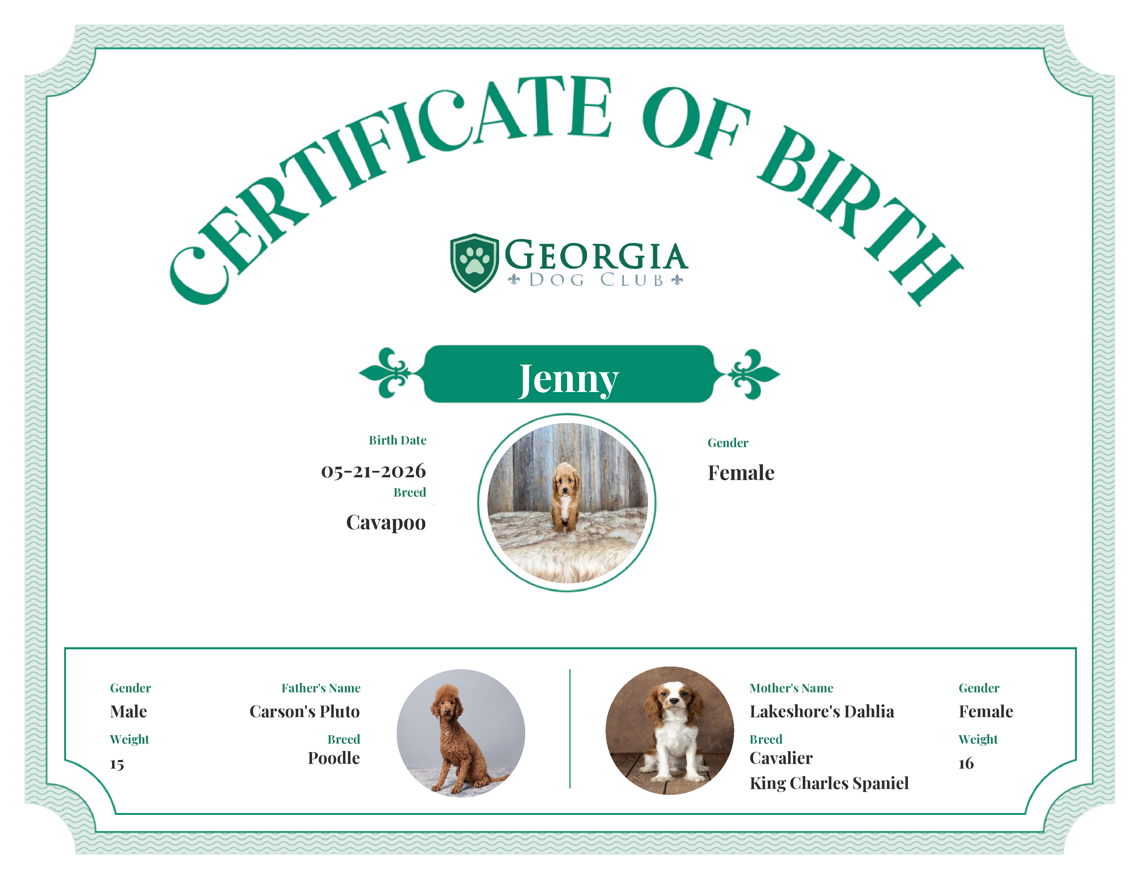 Jenny's Birth Certificate