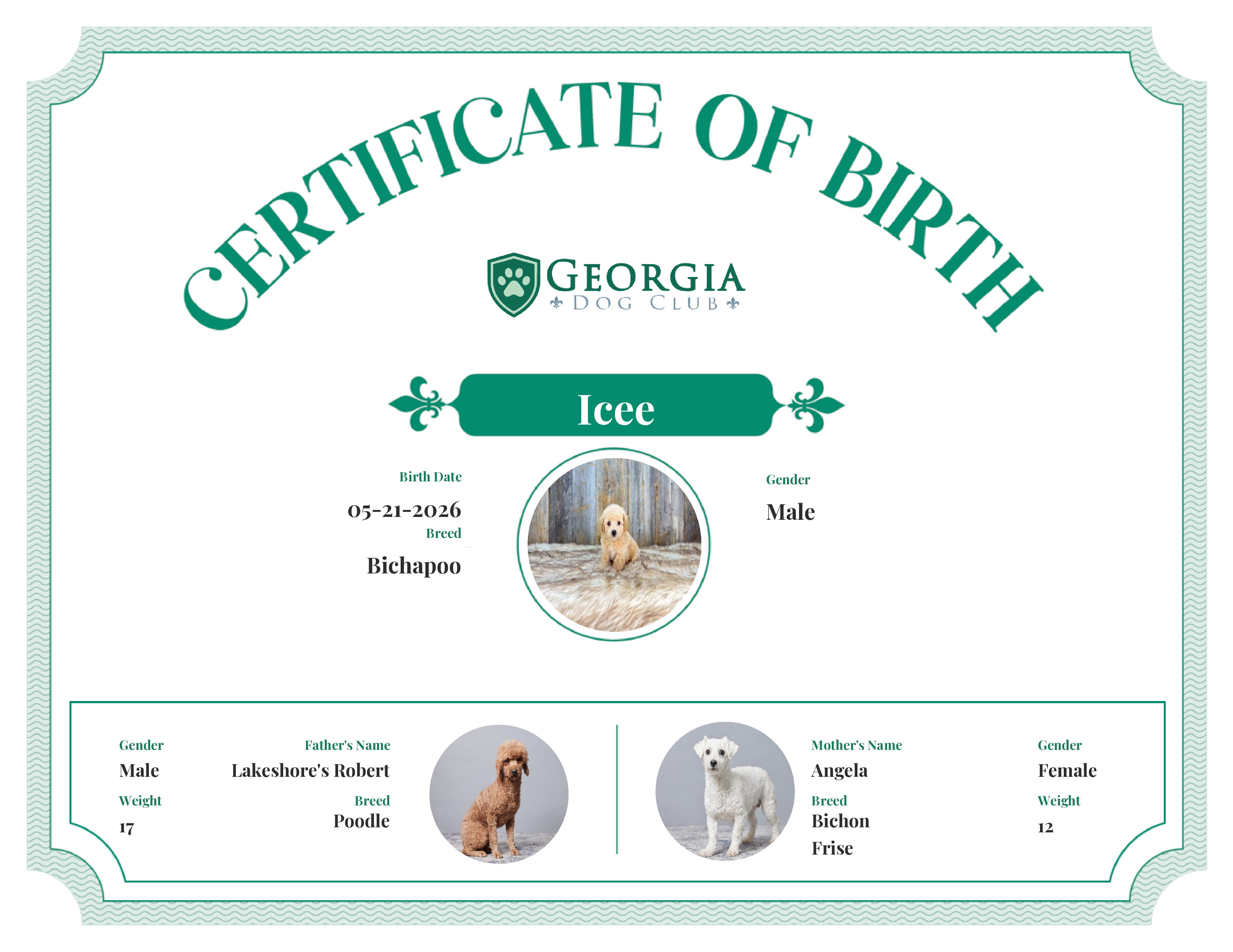 Icee's Birth Certificate