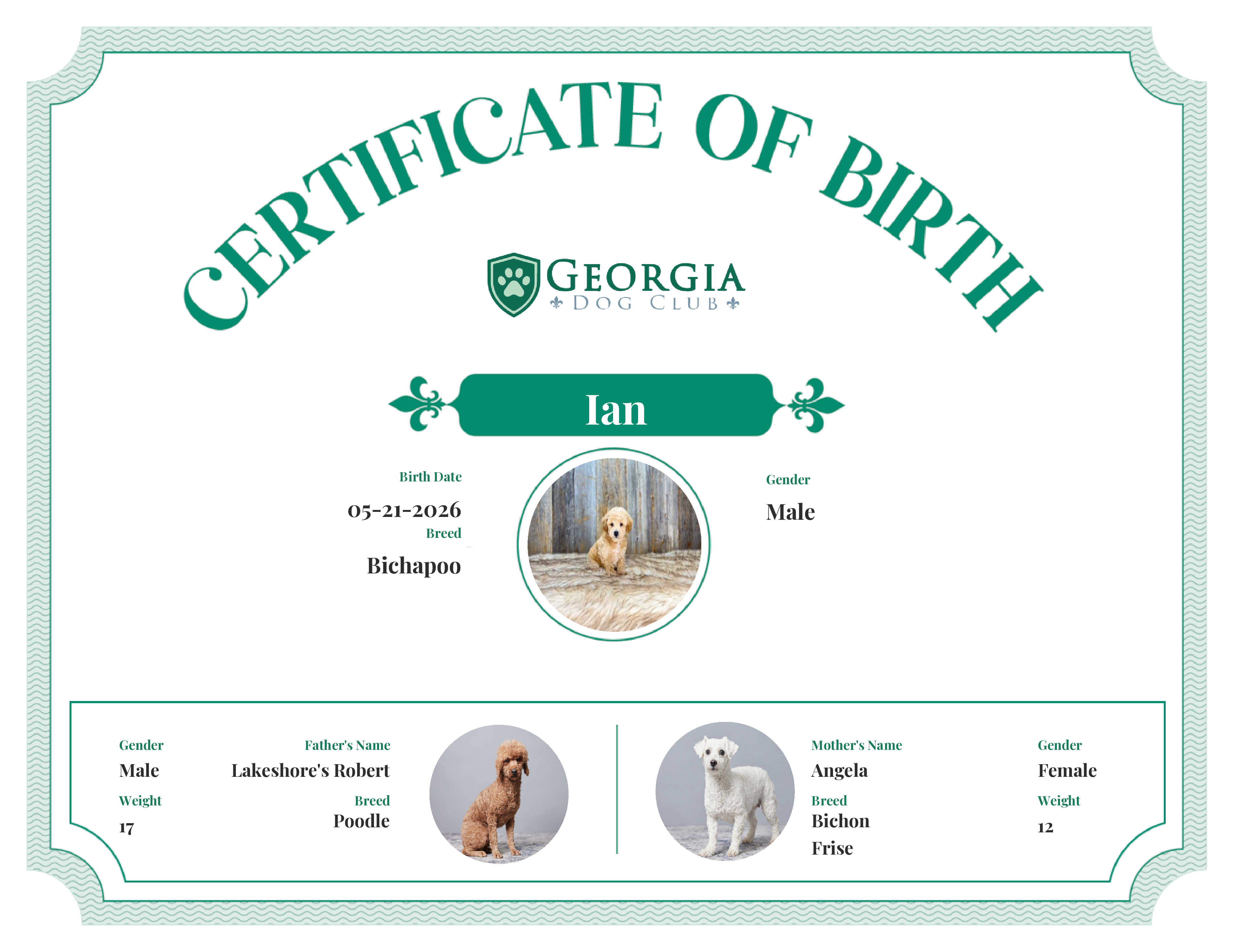 Ian's Birth Certificate
