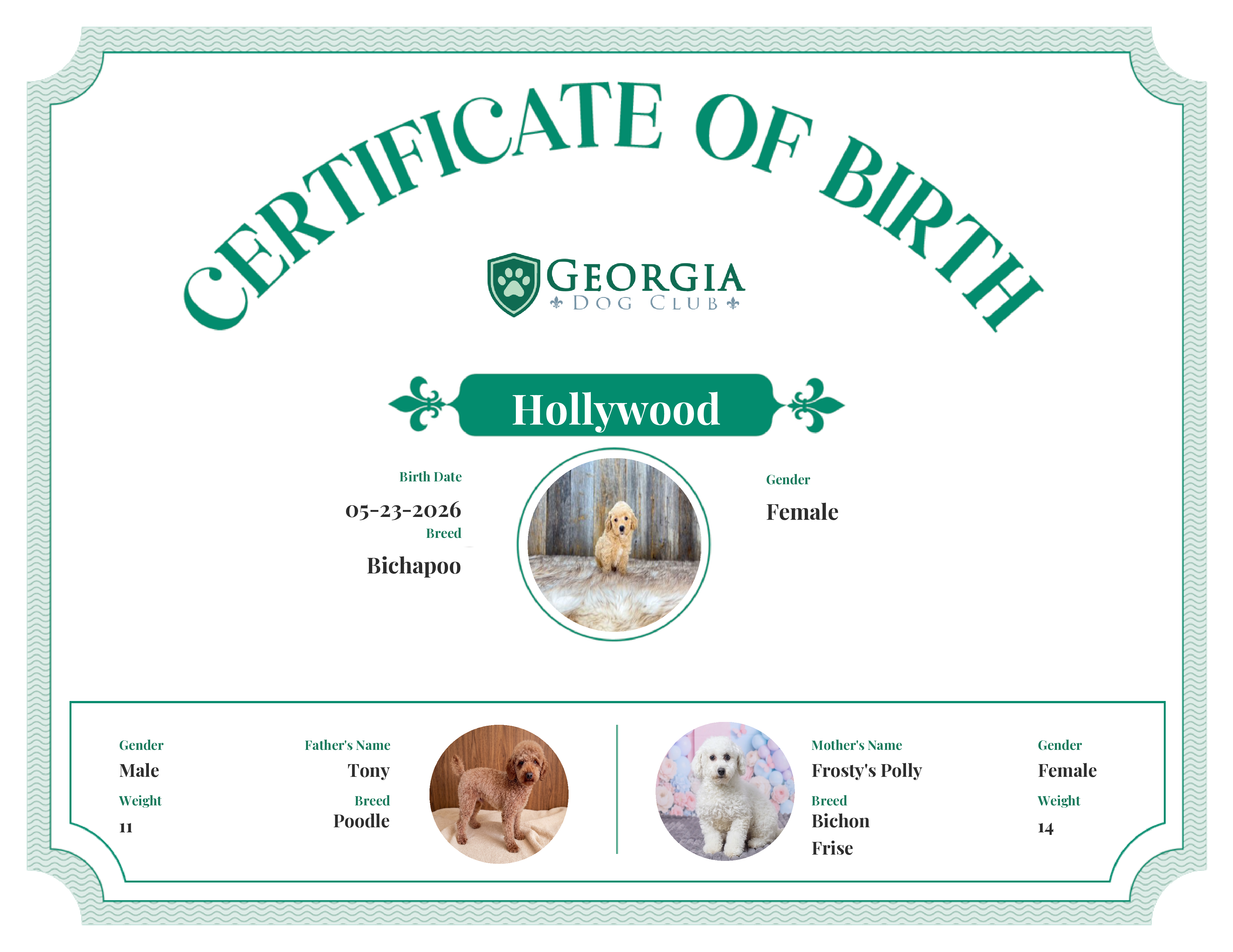 Hollywood's Birth Certificate