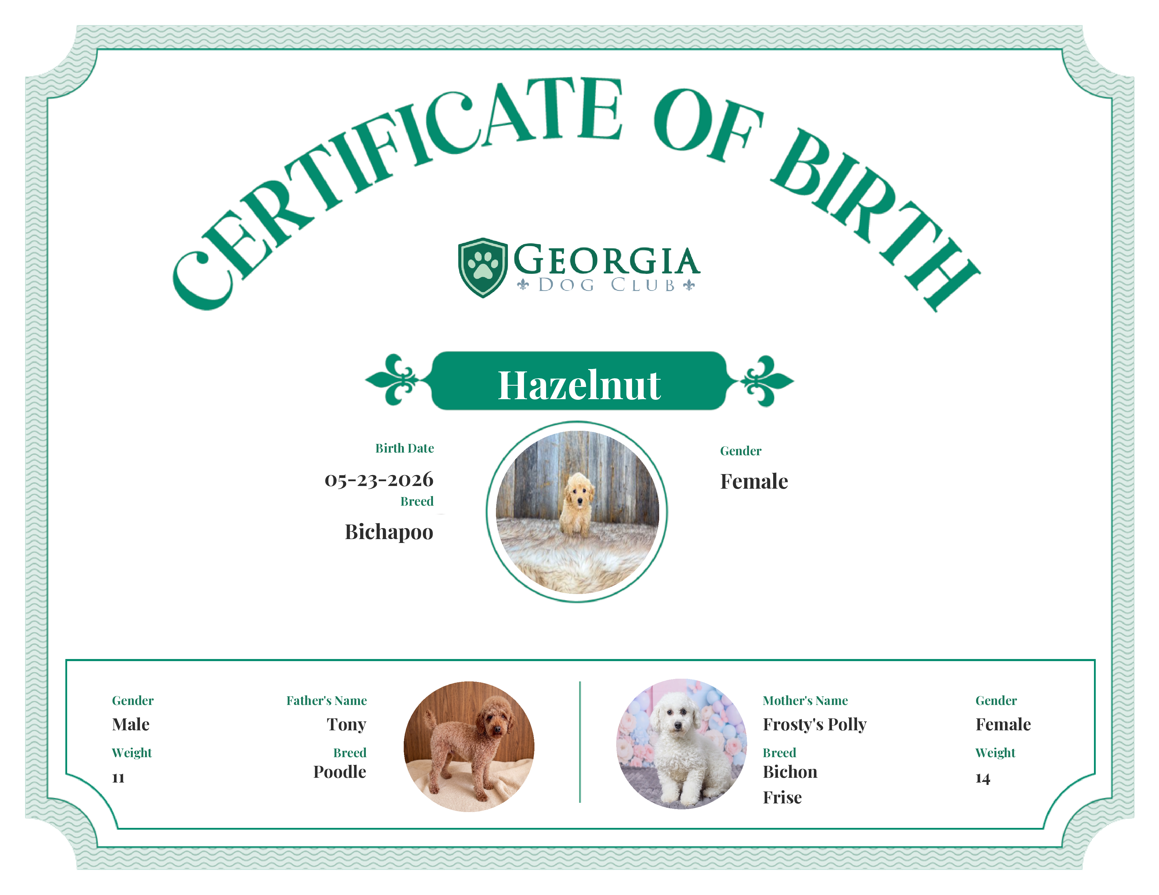 Hazelnut's Birth Certificate