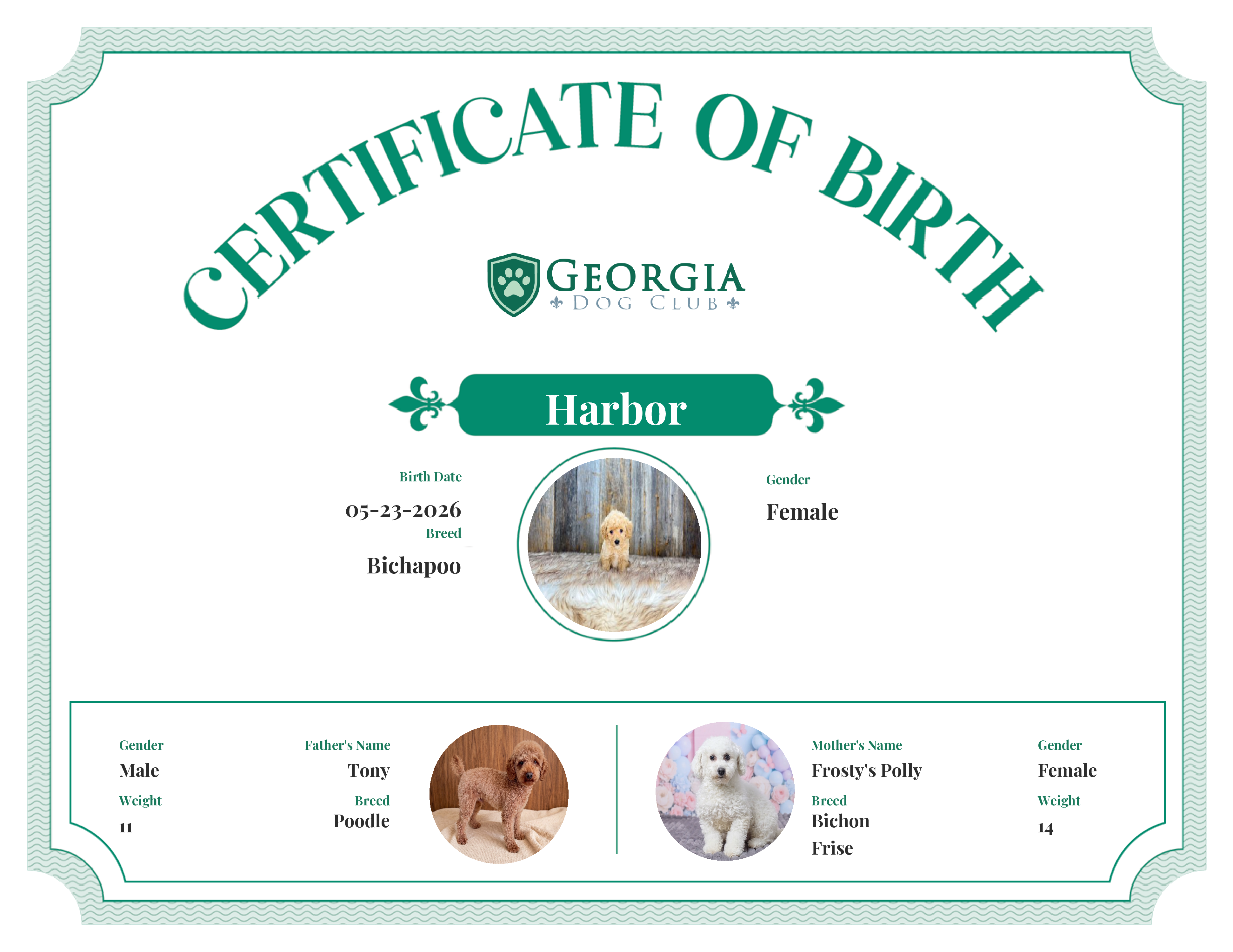 Harbor's Birth Certificate