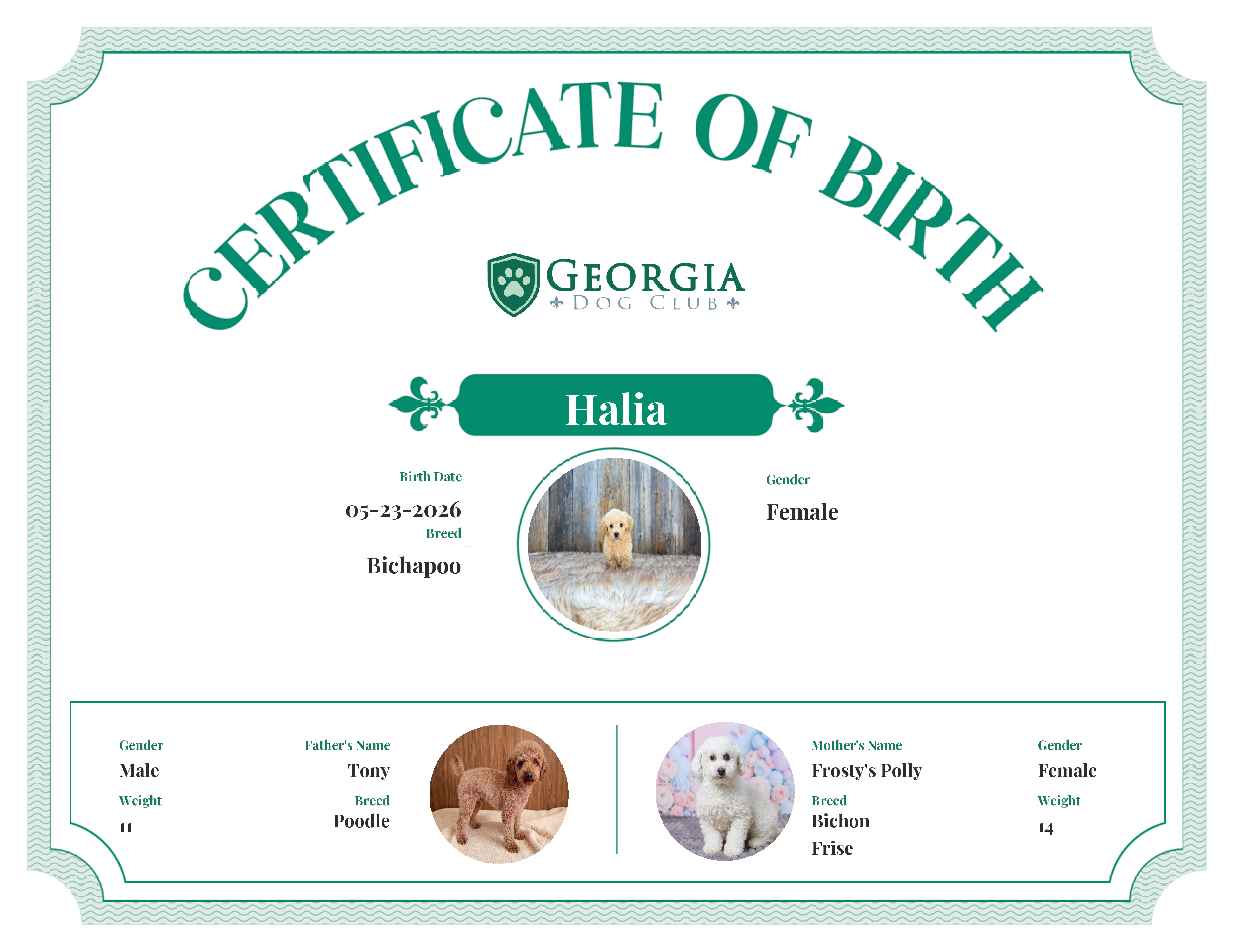 Halia's Birth Certificate