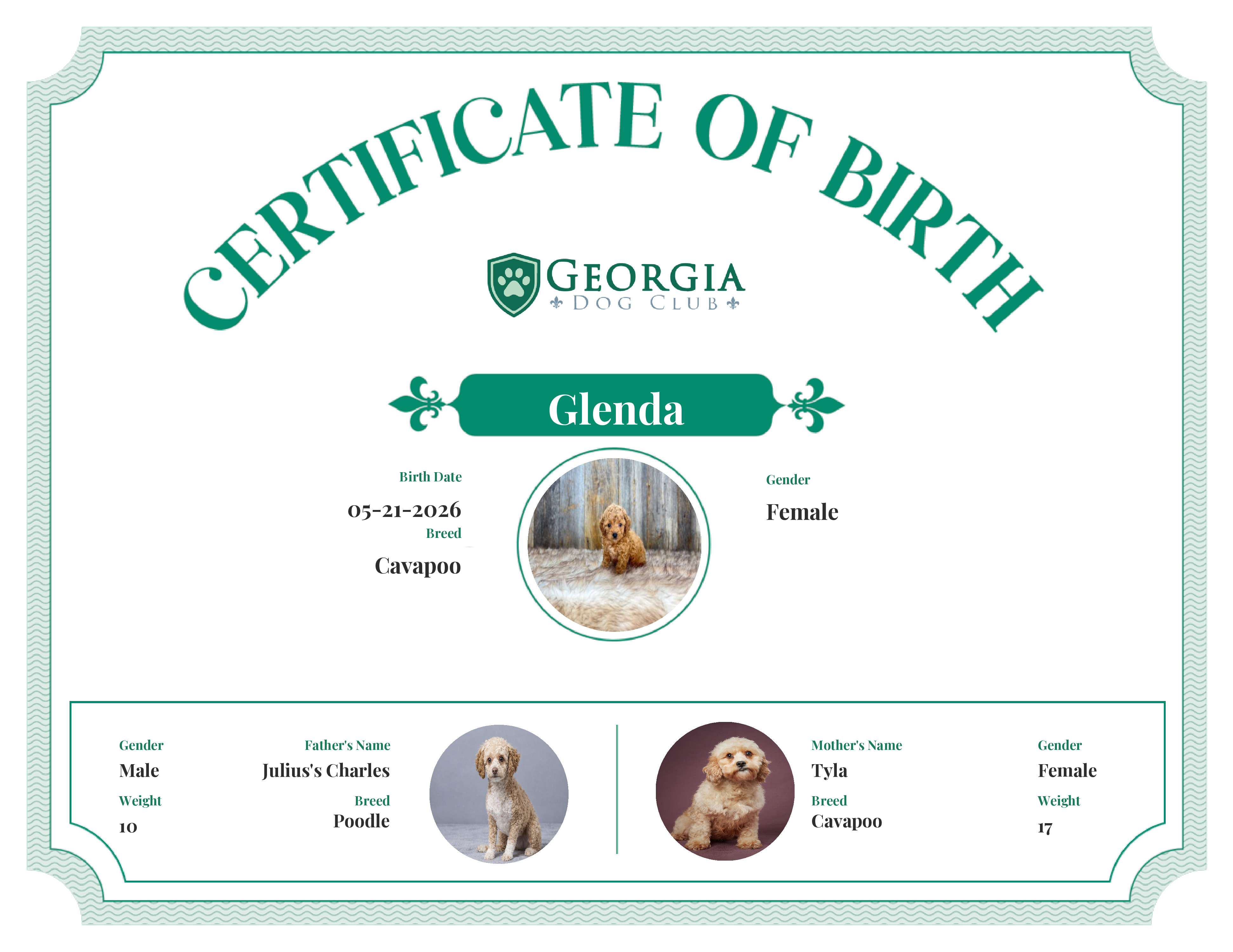 Glenda's Birth Certificate