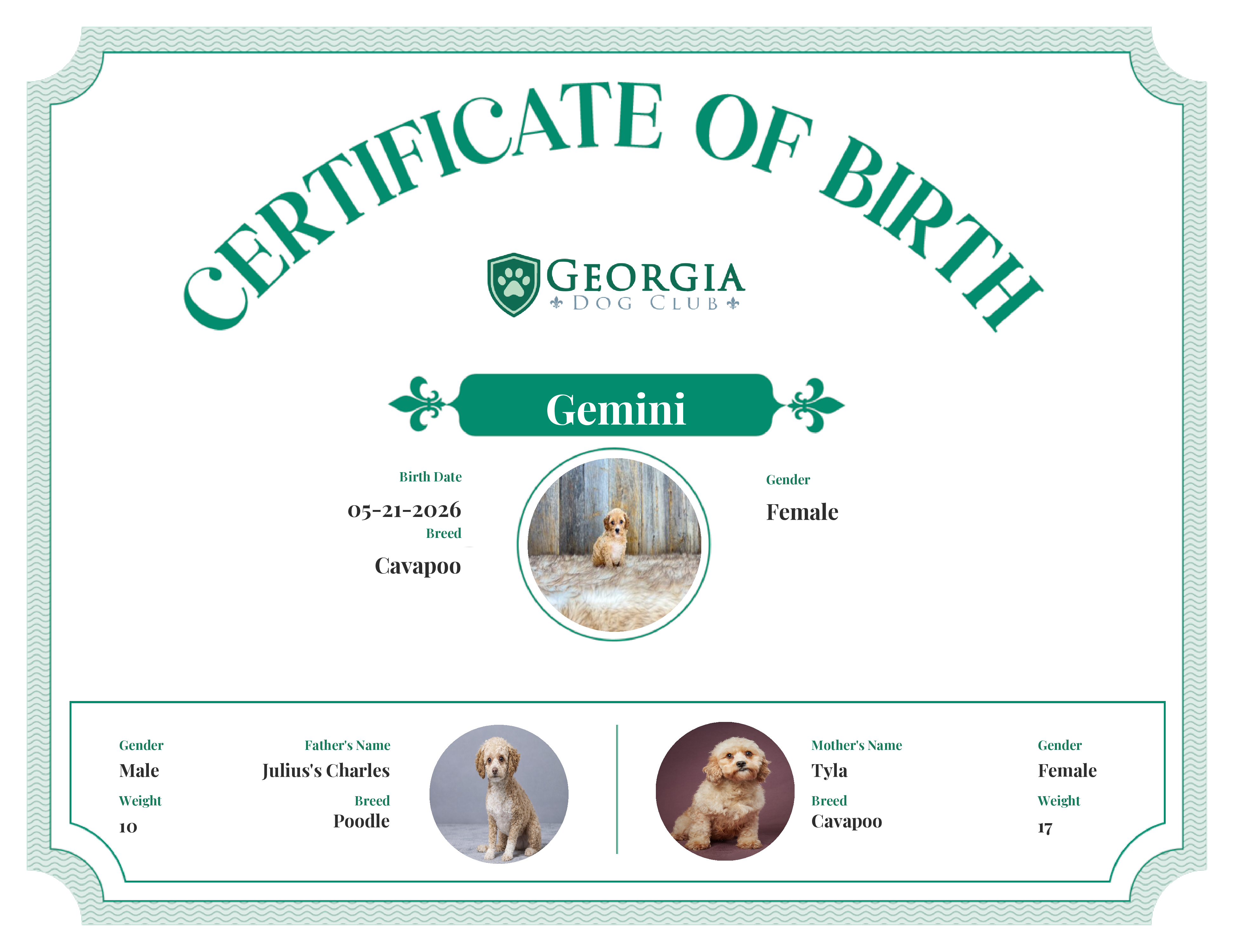 Gemini's Birth Certificate