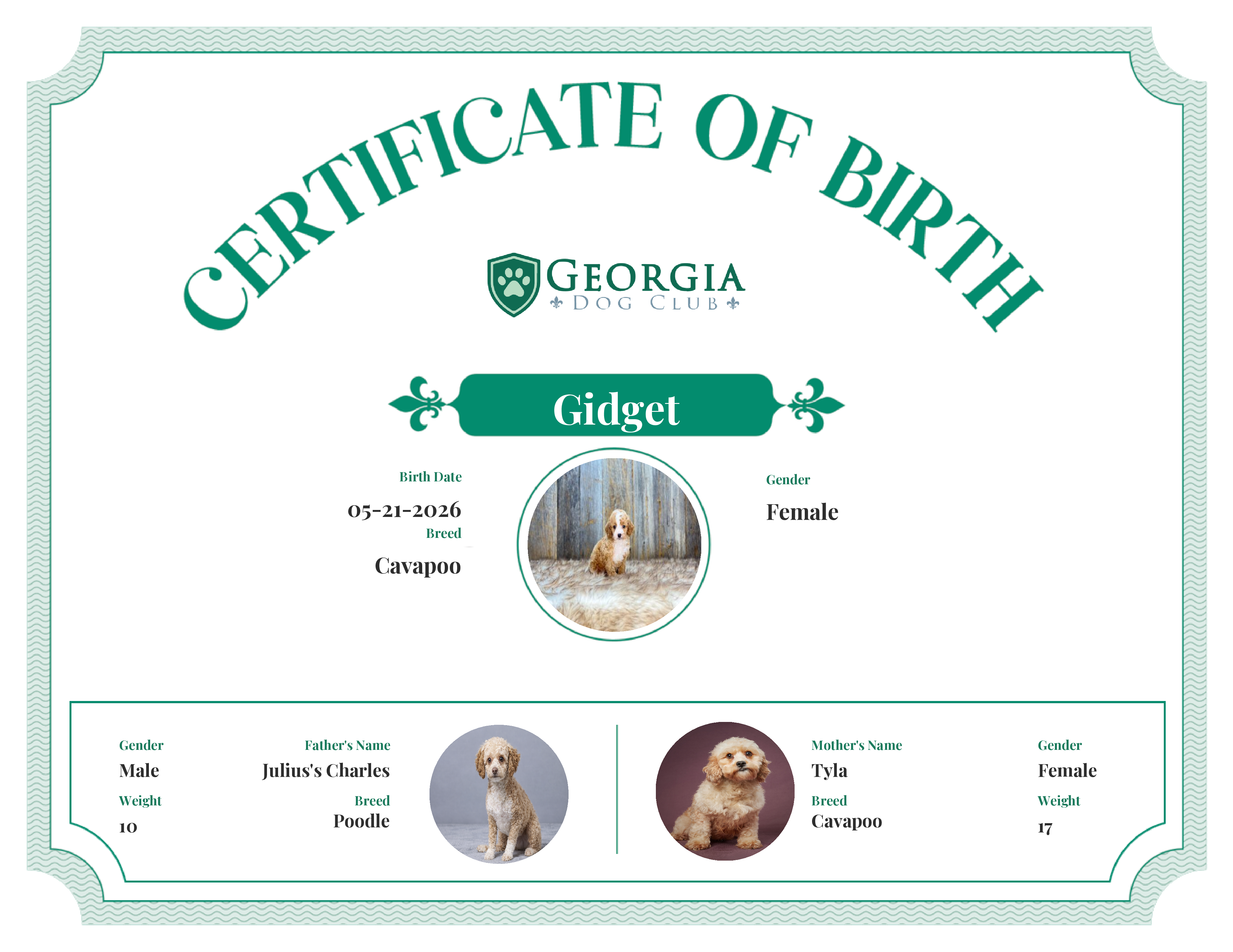Gidget's Birth Certificate