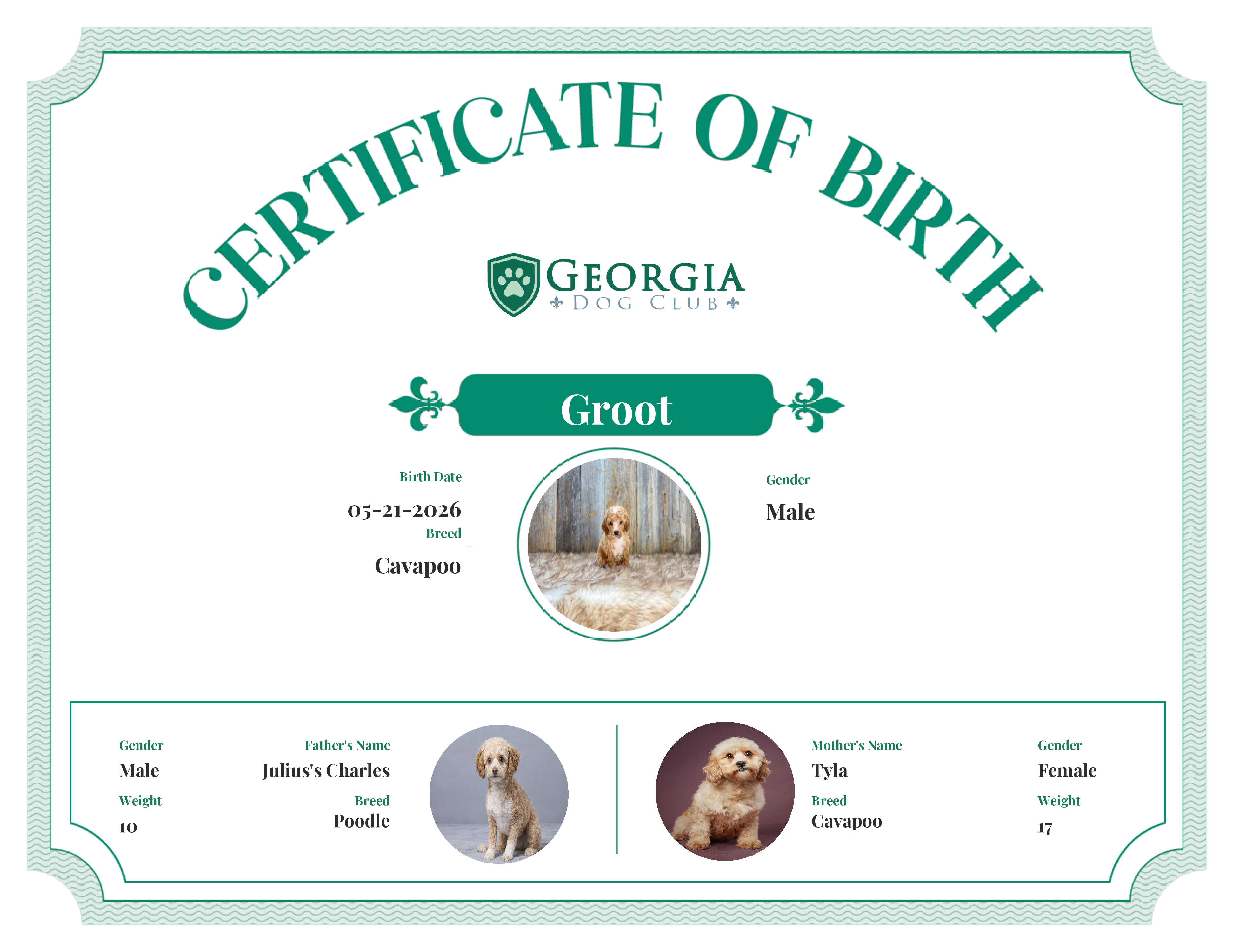 Groot's Birth Certificate