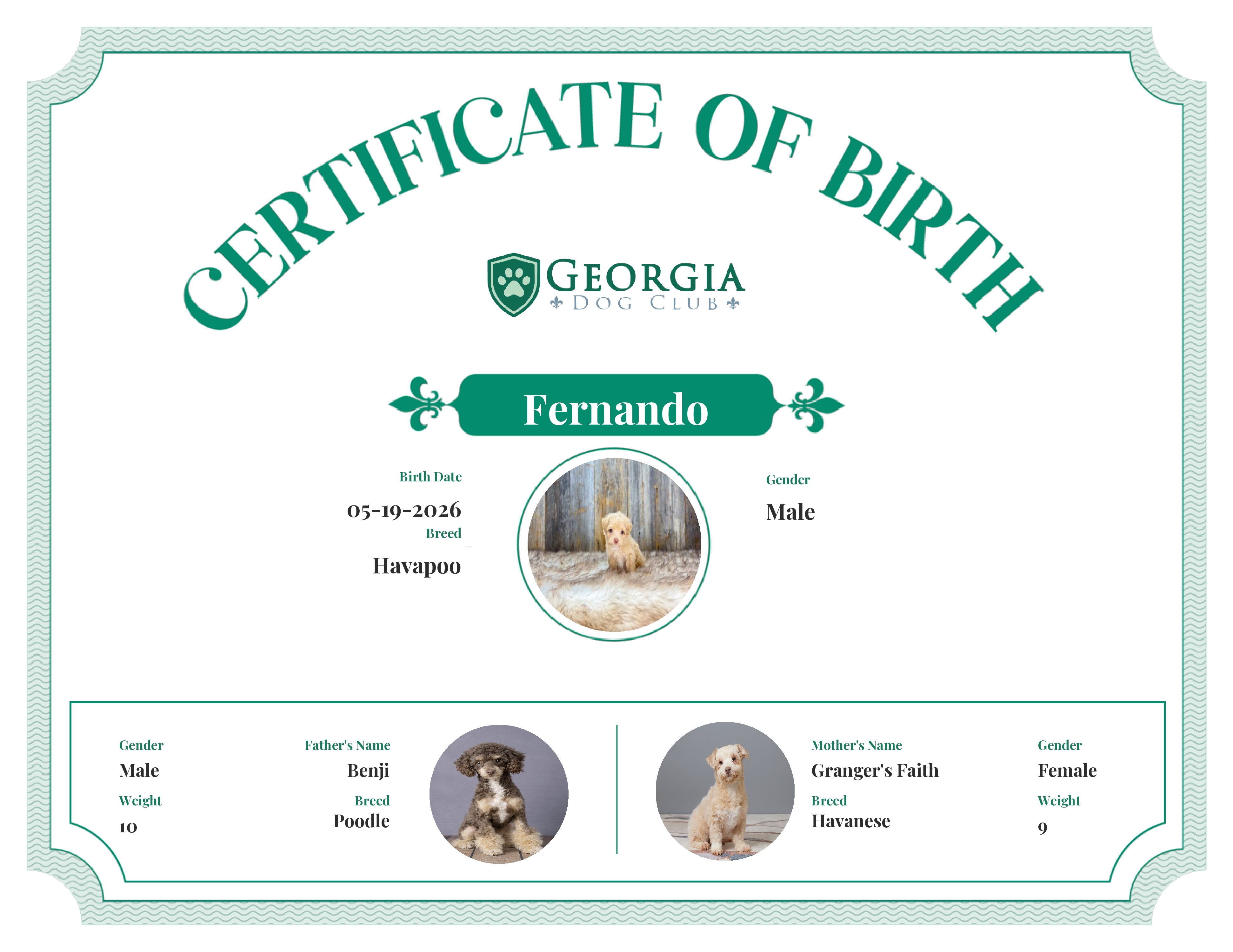 Fernando's Birth Certificate