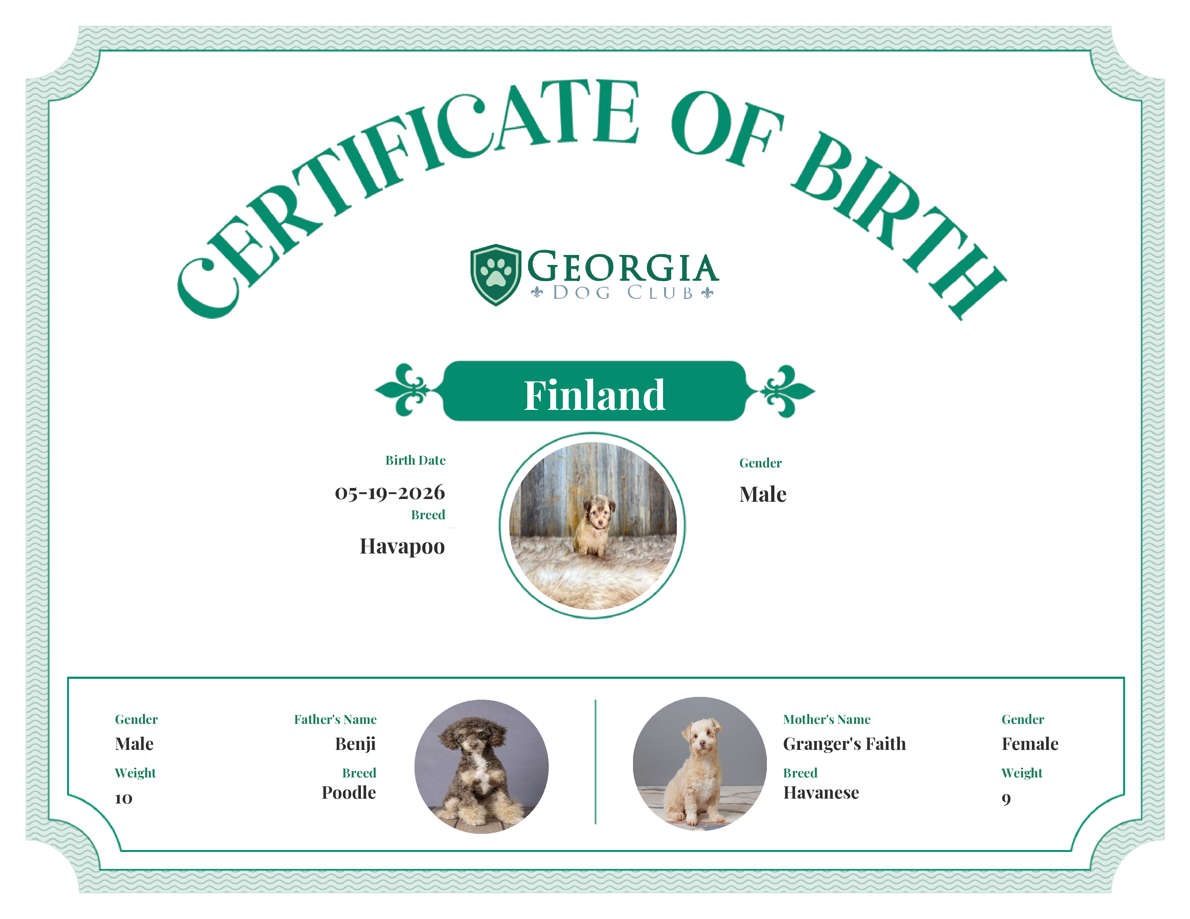 Finland's Birth Certificate