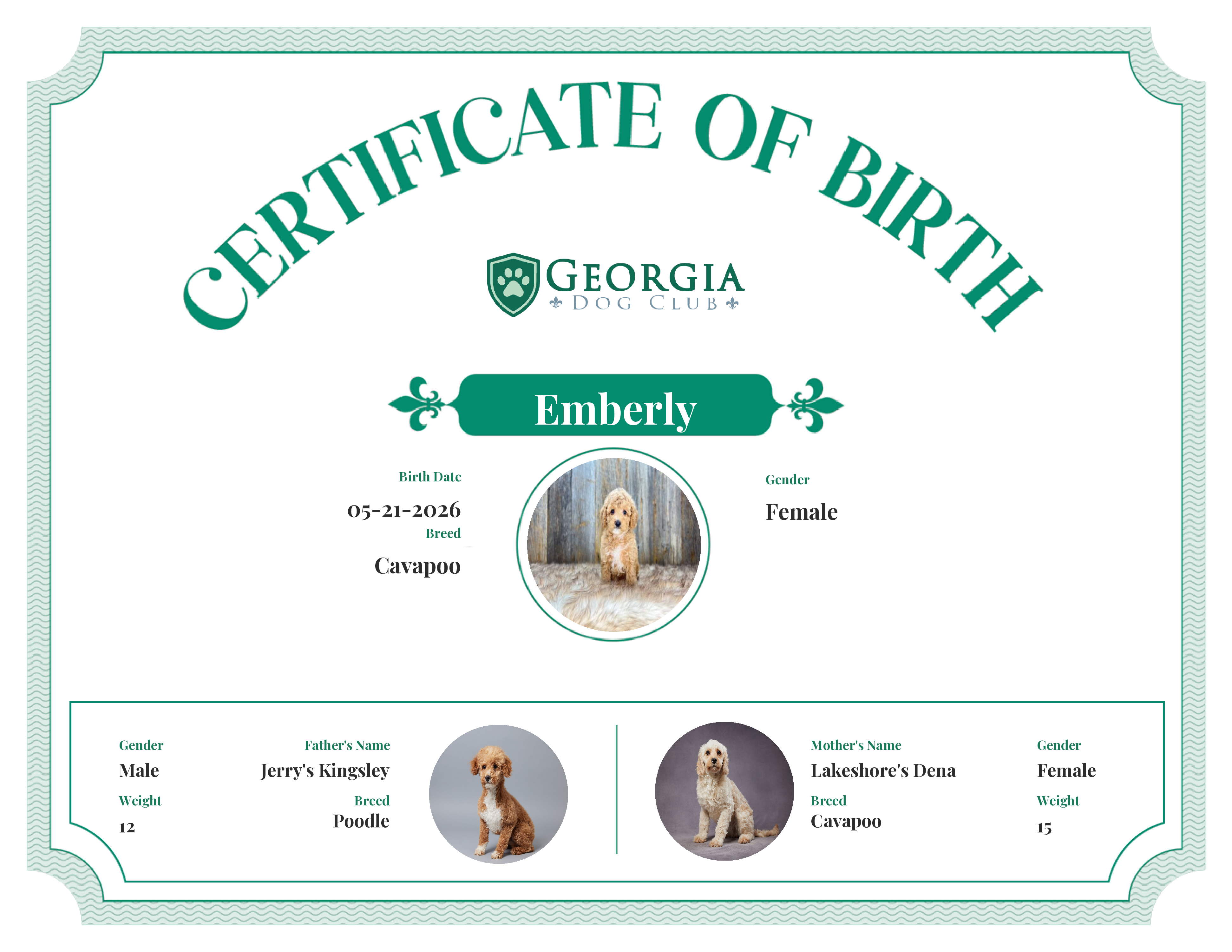 Emberly's Birth Certificate