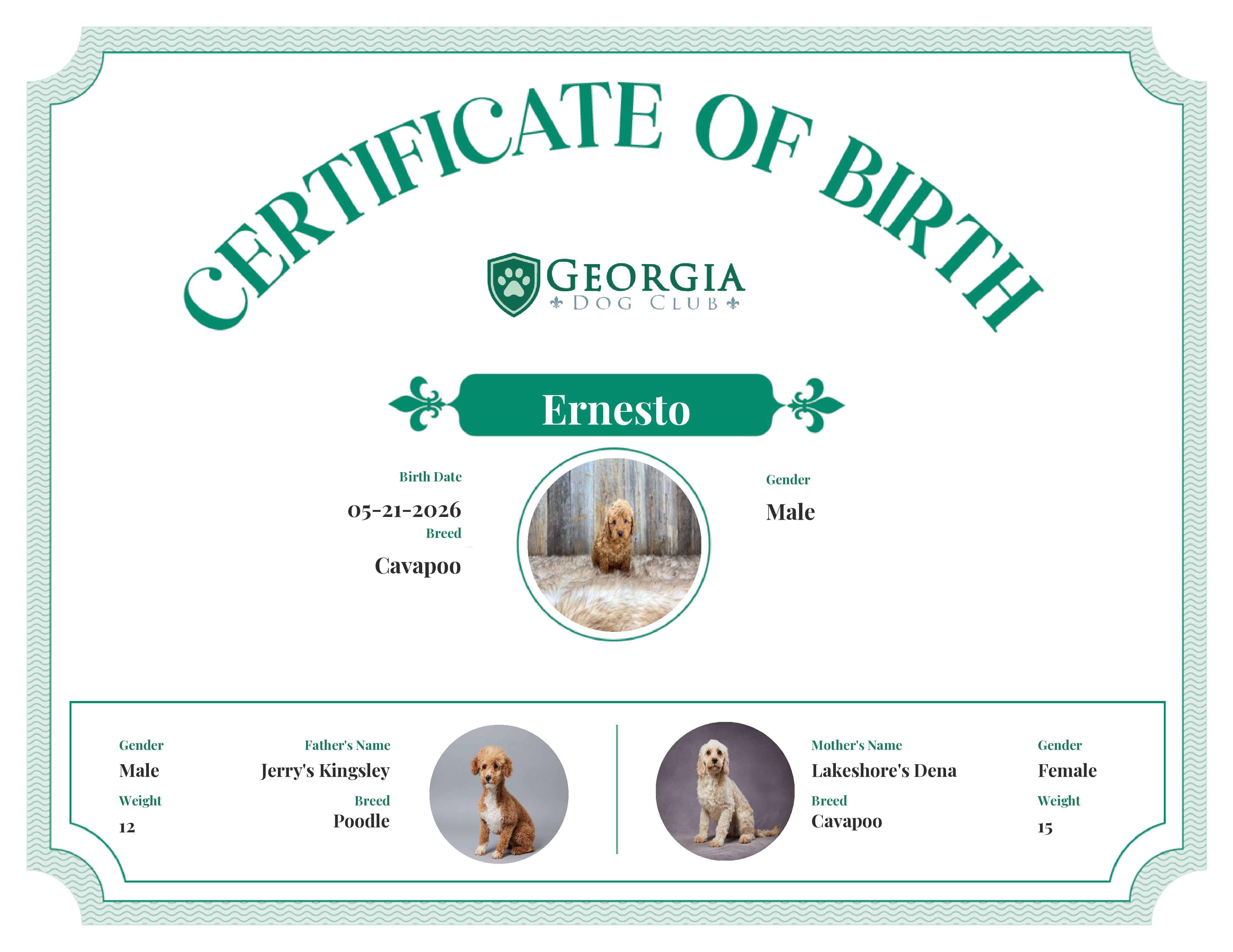Ernesto's Birth Certificate