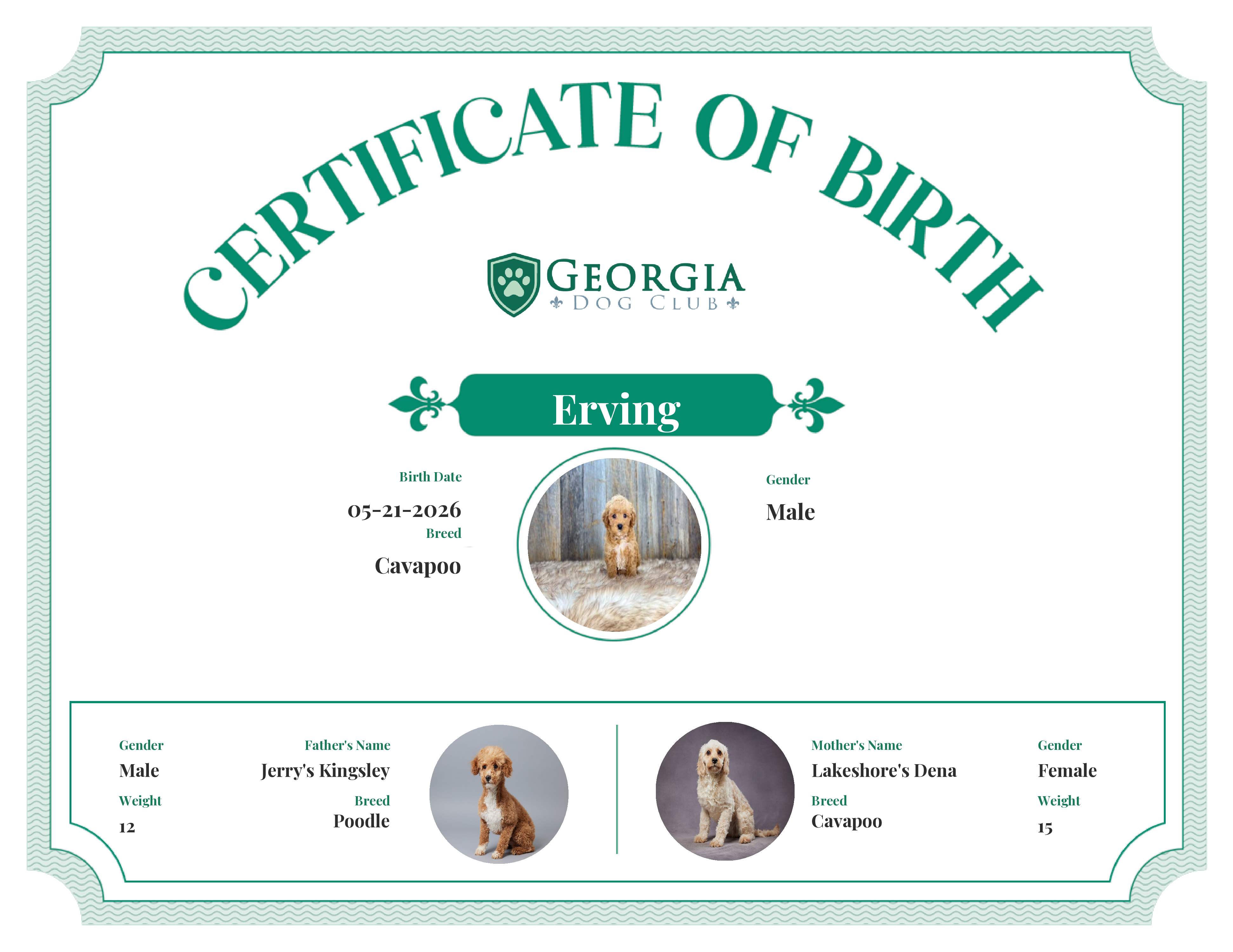 Erving's Birth Certificate