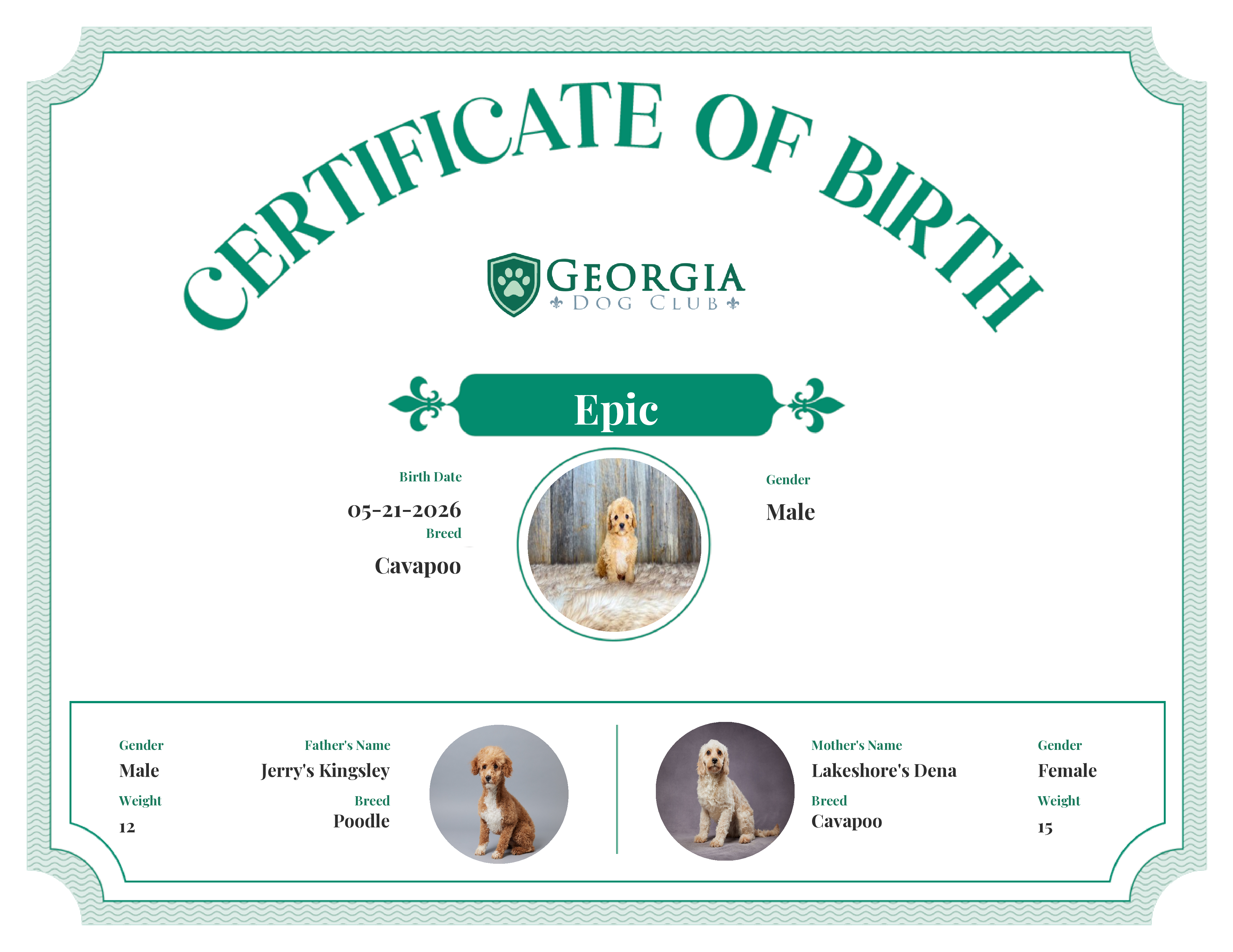 Epic's Birth Certificate