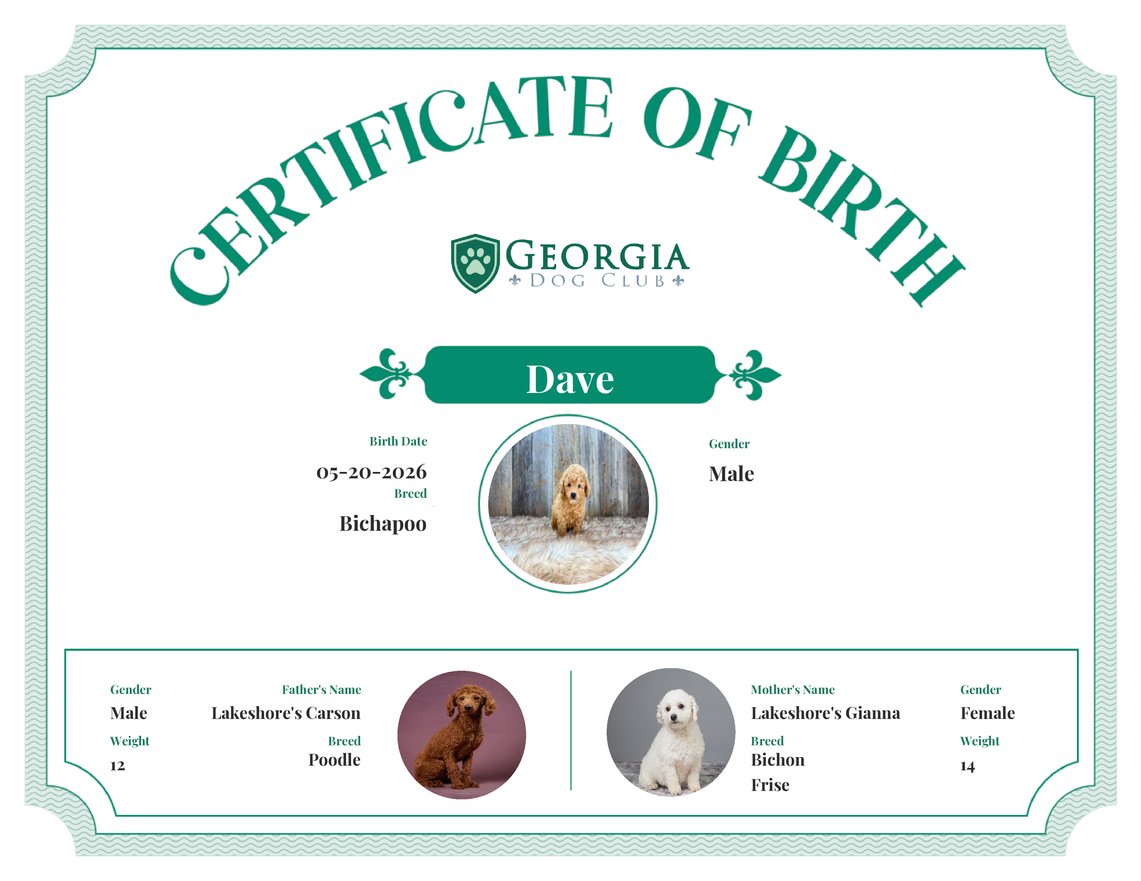 Dave's Birth Certificate