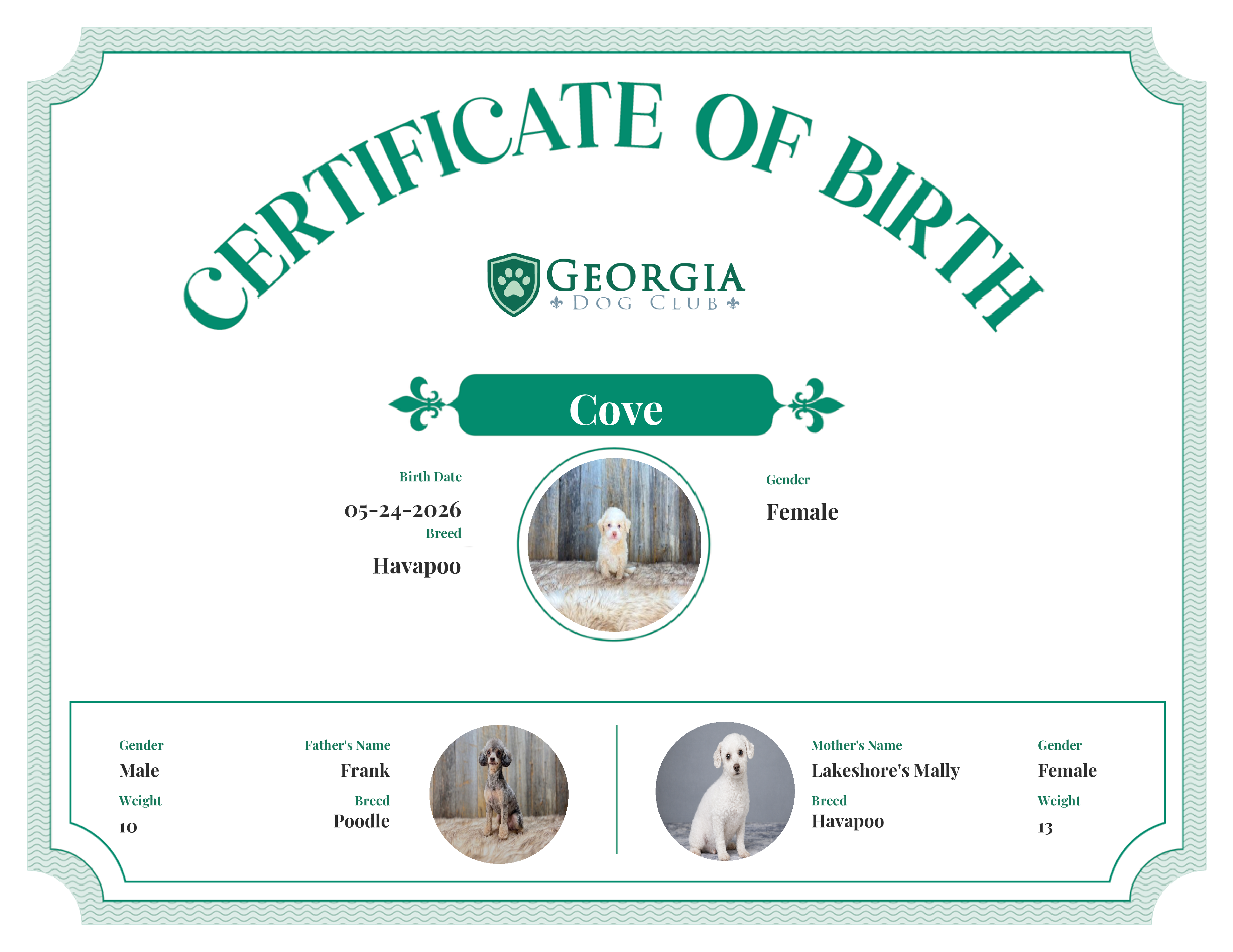 Cove's Birth Certificate