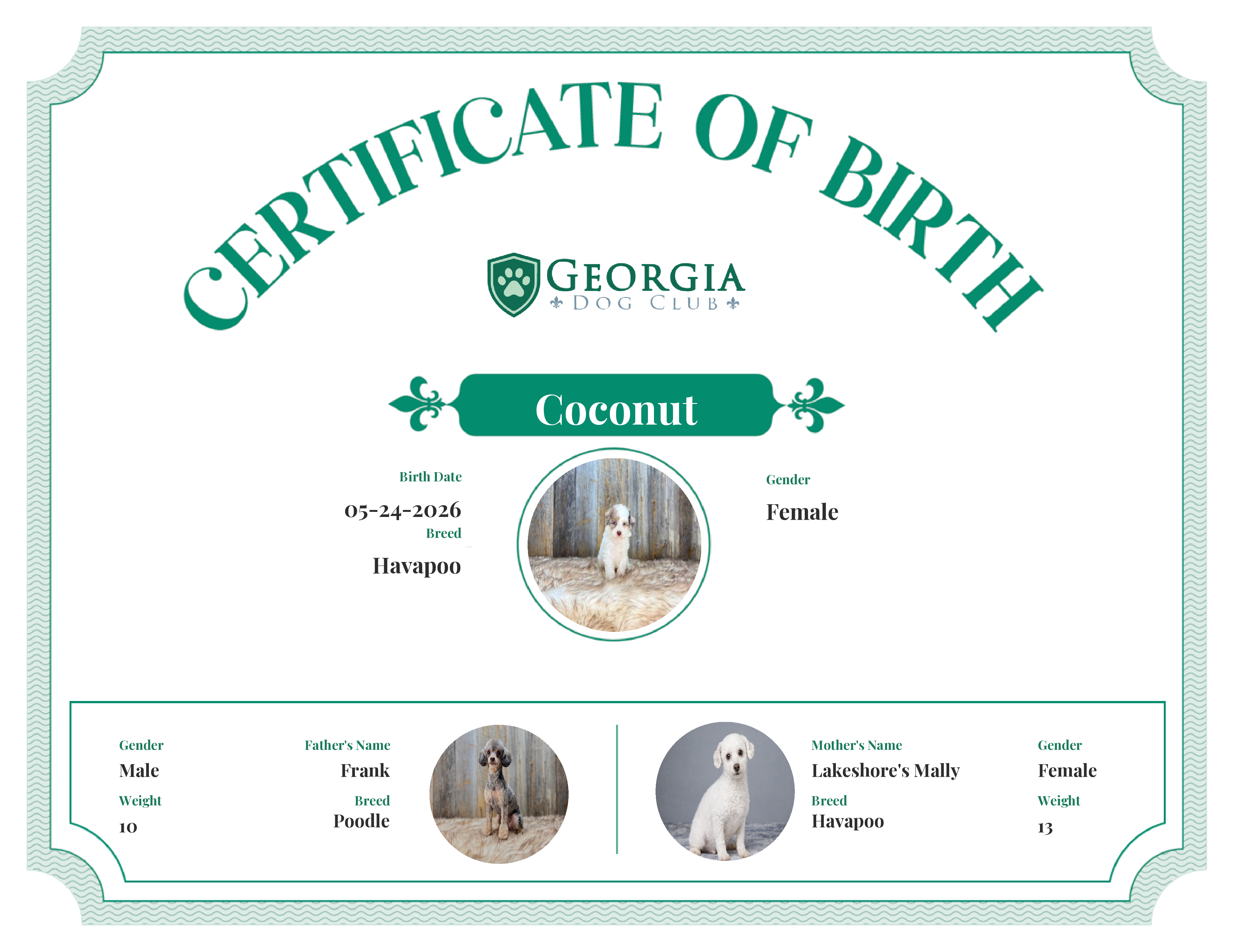 Coconut's Birth Certificate