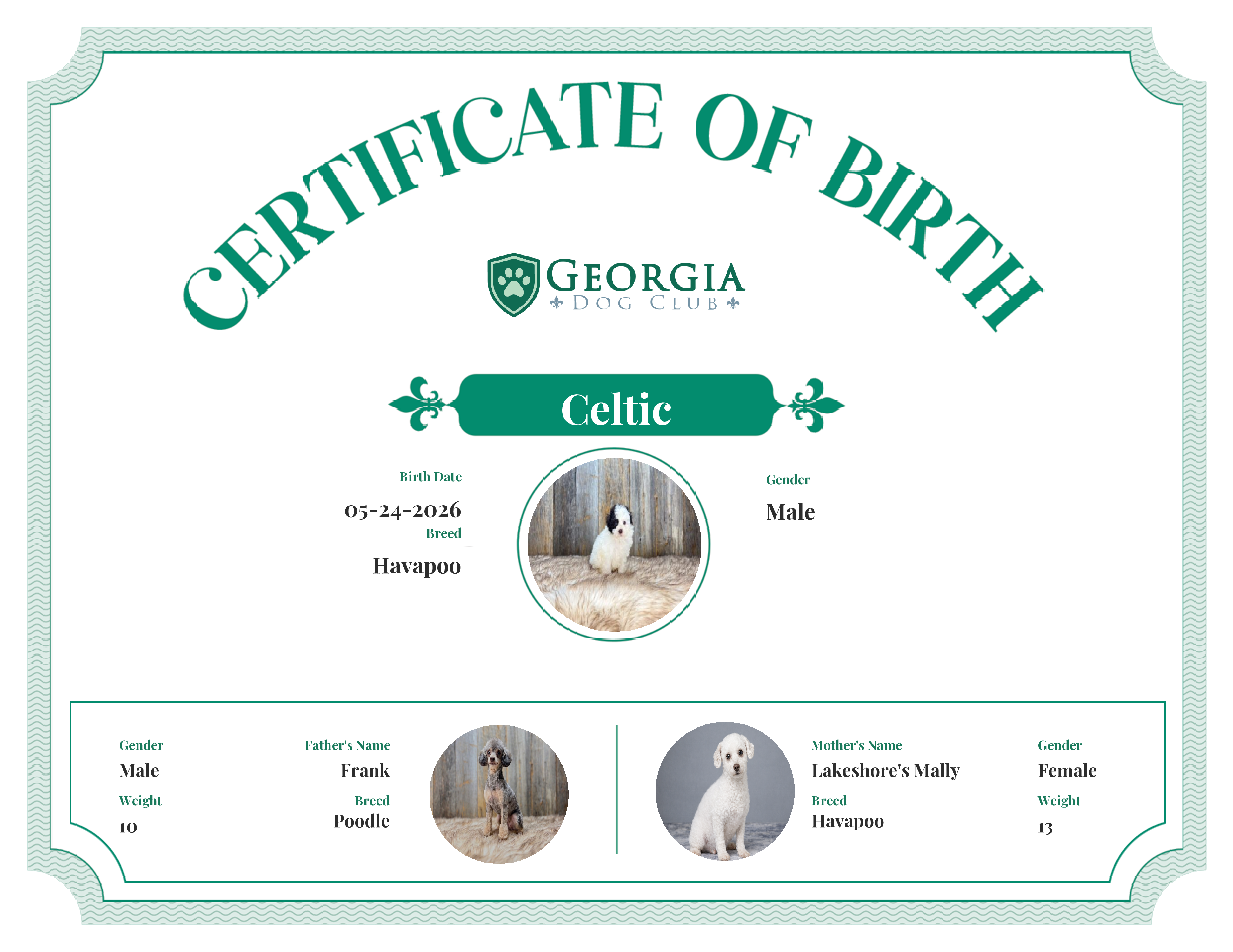 Celtic's Birth Certificate