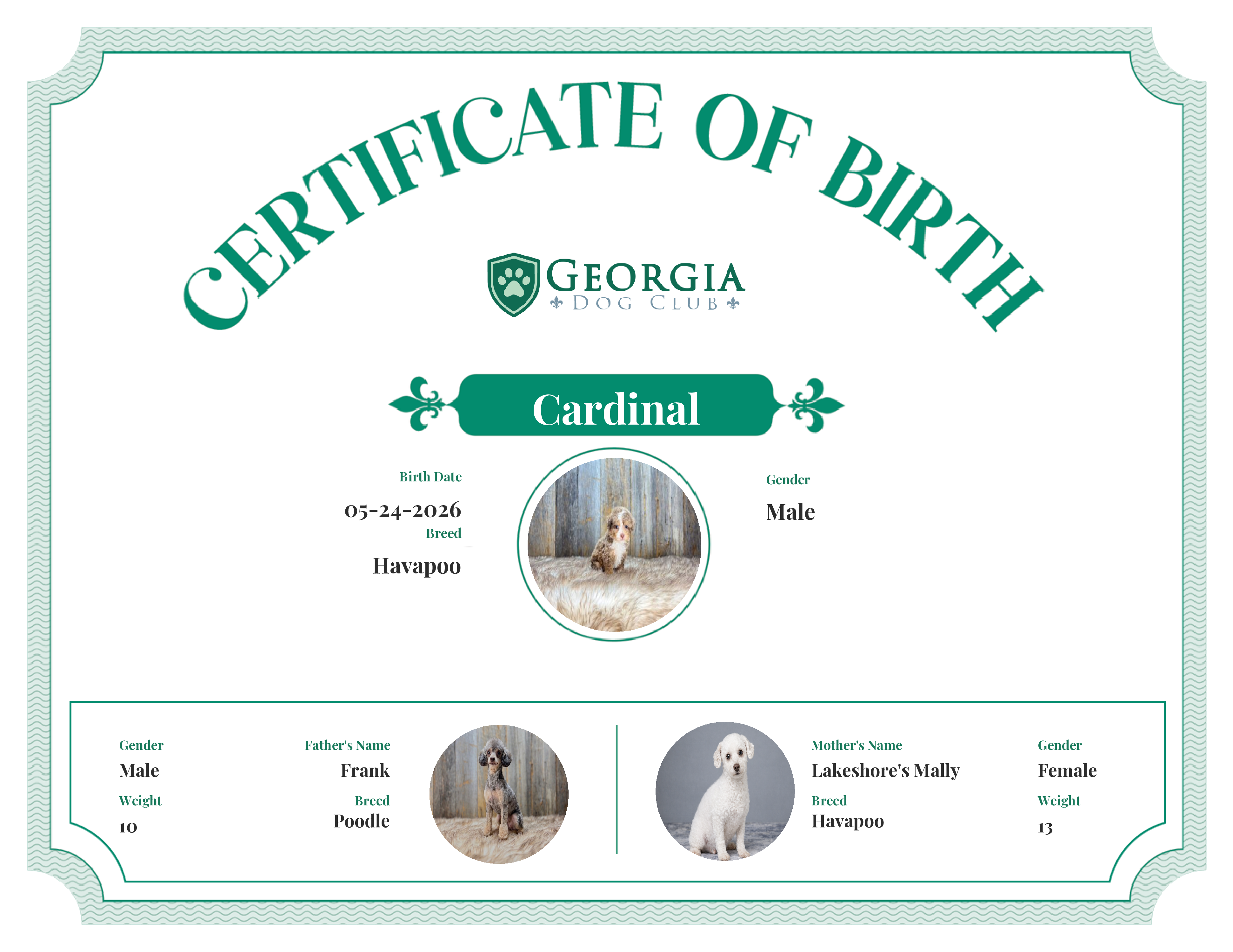 Cardinal's Birth Certificate