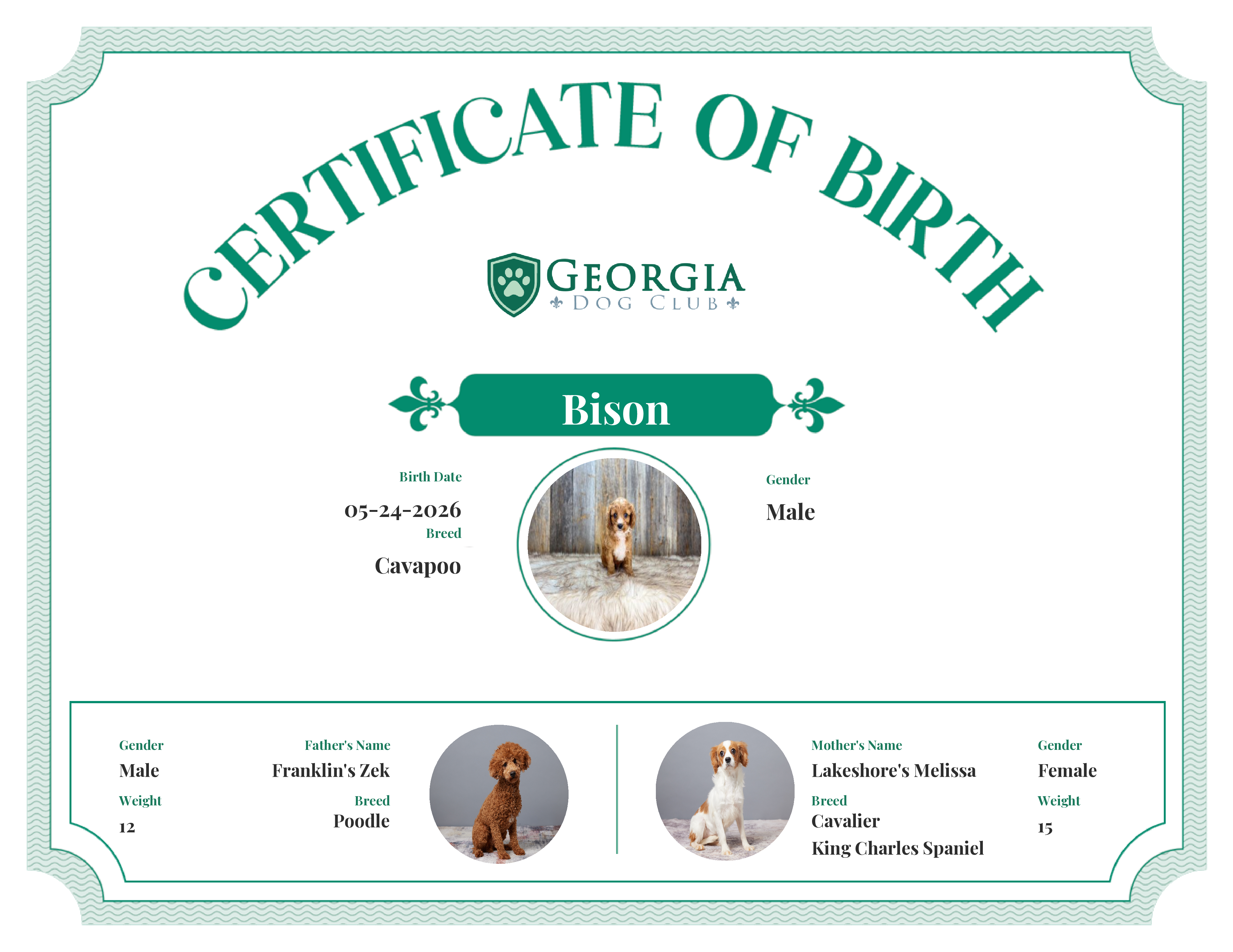 Bison's Birth Certificate
